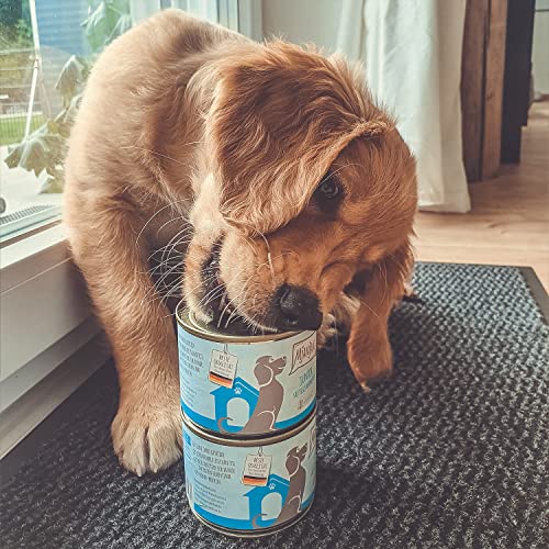mjamjam-premium-welpenbox-junior-huhn-mit-ei-nassfutter-f-r-hunde-6-x-200g image 6