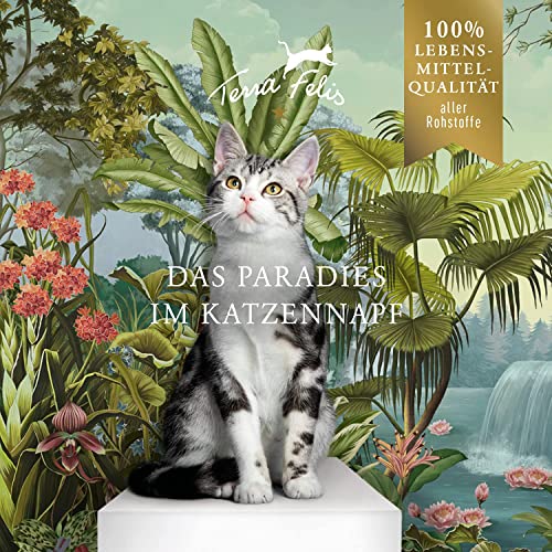 terra-felis-famousse-monoprotein-katzen-nassfutter-20-x-80-g image 5