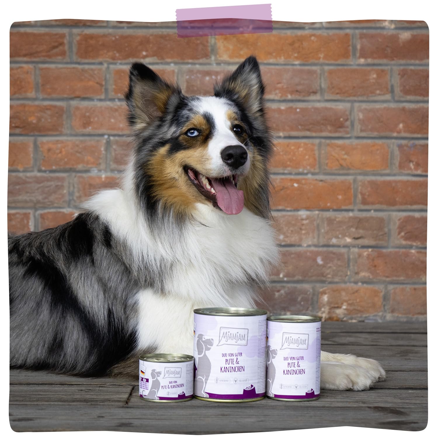 mjamjam-duo-nassfutter-f-r-hunde-pute-kaninchen-6-x-400-g image 6