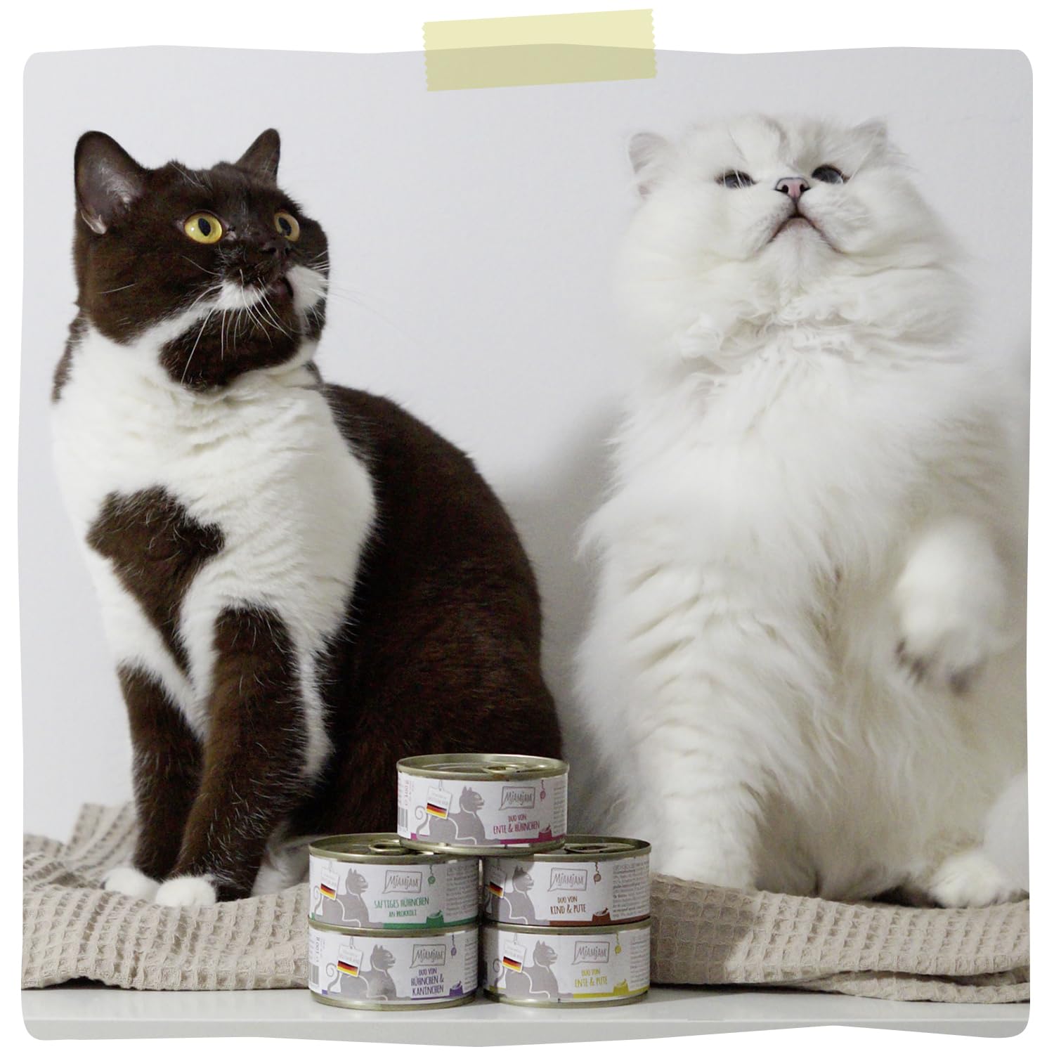 mjamjam-duo-premium-nassfutter-f-r-katzen-zarte-ente-gute-pute-an-ged-mpftem-k-r image 5