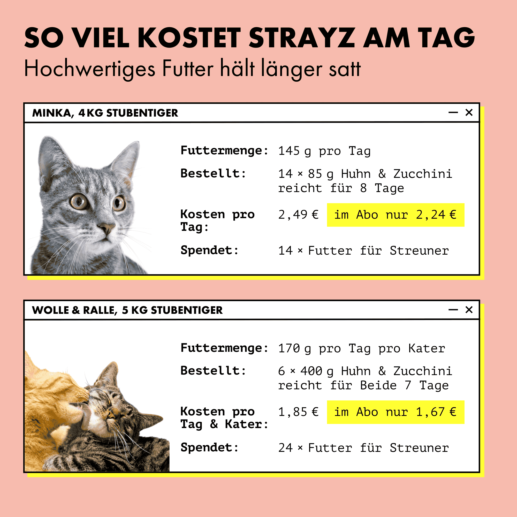 strayz-gans-k-rbis-bio-katzen-pat-nassfutter image 7