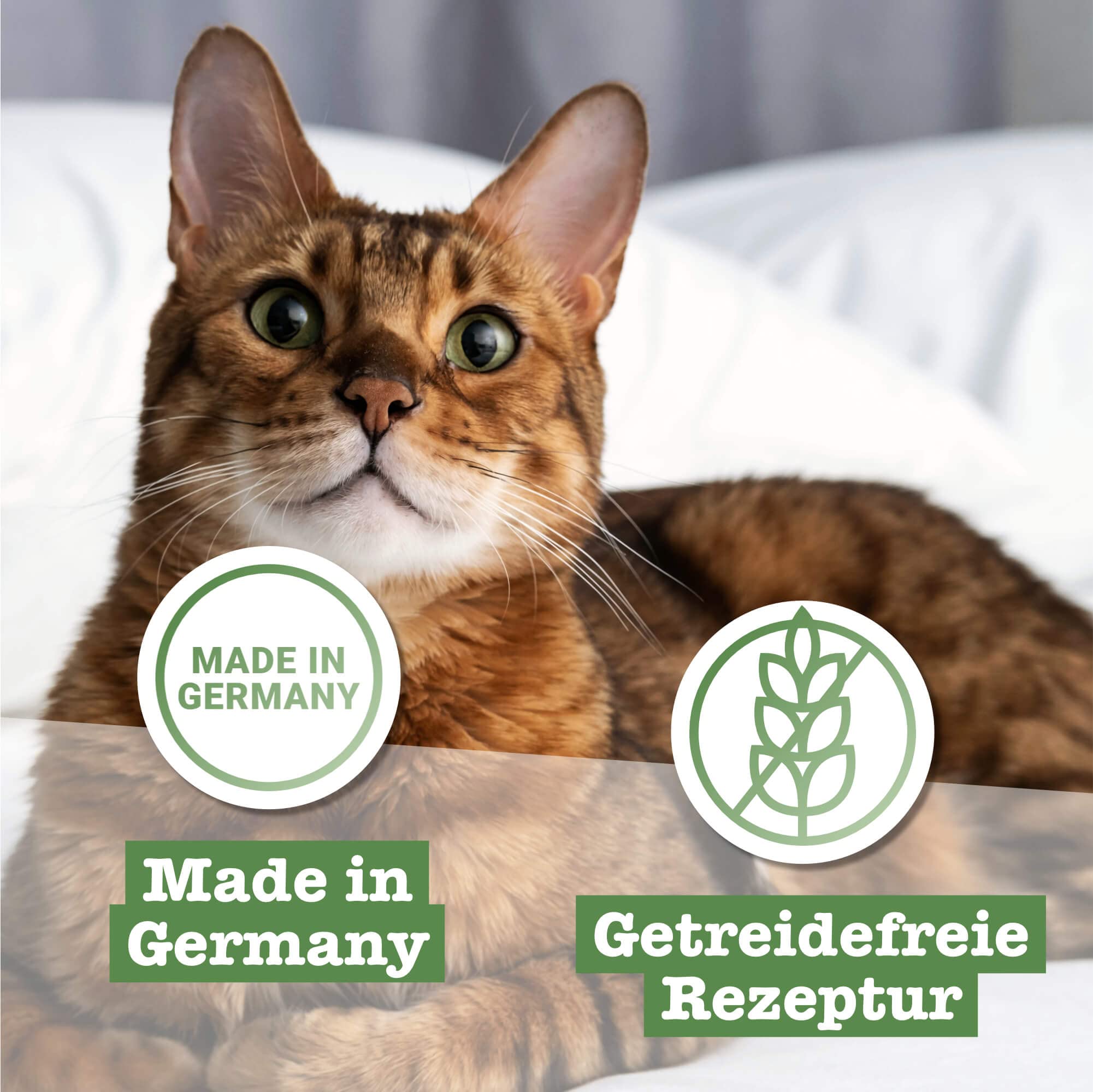 catz-finefood-classic-n-15-premium-nassfutter-f-r-katzen-huhn-fasan-6-x-800g image 5
