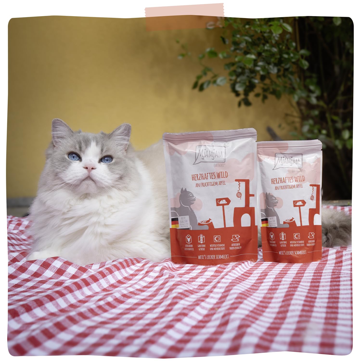 mjamjam-leckere-mahlzeiten-premium-nassfutter-f-r-katzen-herzhaftes-wild-mit-apf image 6