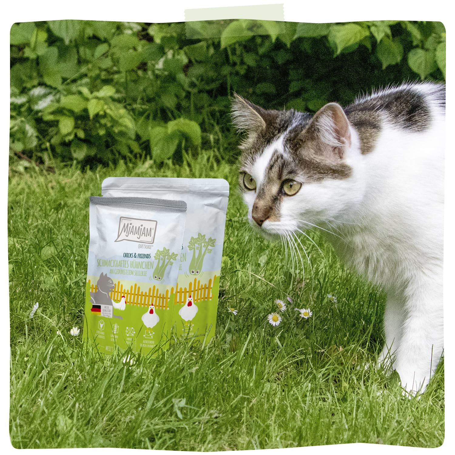 mjamjam-leckere-mahlzeiten-premium-nassfutter-f-r-katzen-h-hnchen-an-sellerie-6- image 6