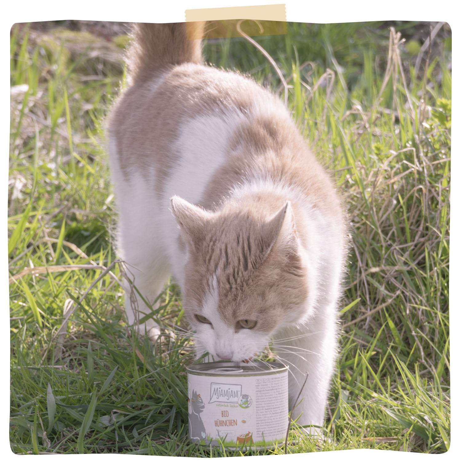 mjamjam-nat-rlich-lecker-bio-h-hnchen-nassfutter-f-r-katzen-6-x-400-g image 6