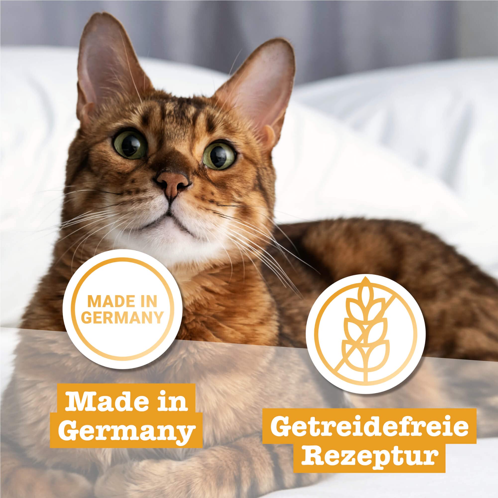 catz-finefood-purrrrly-no-107-lammherzen-katzensnack-6-x-35-g image 4