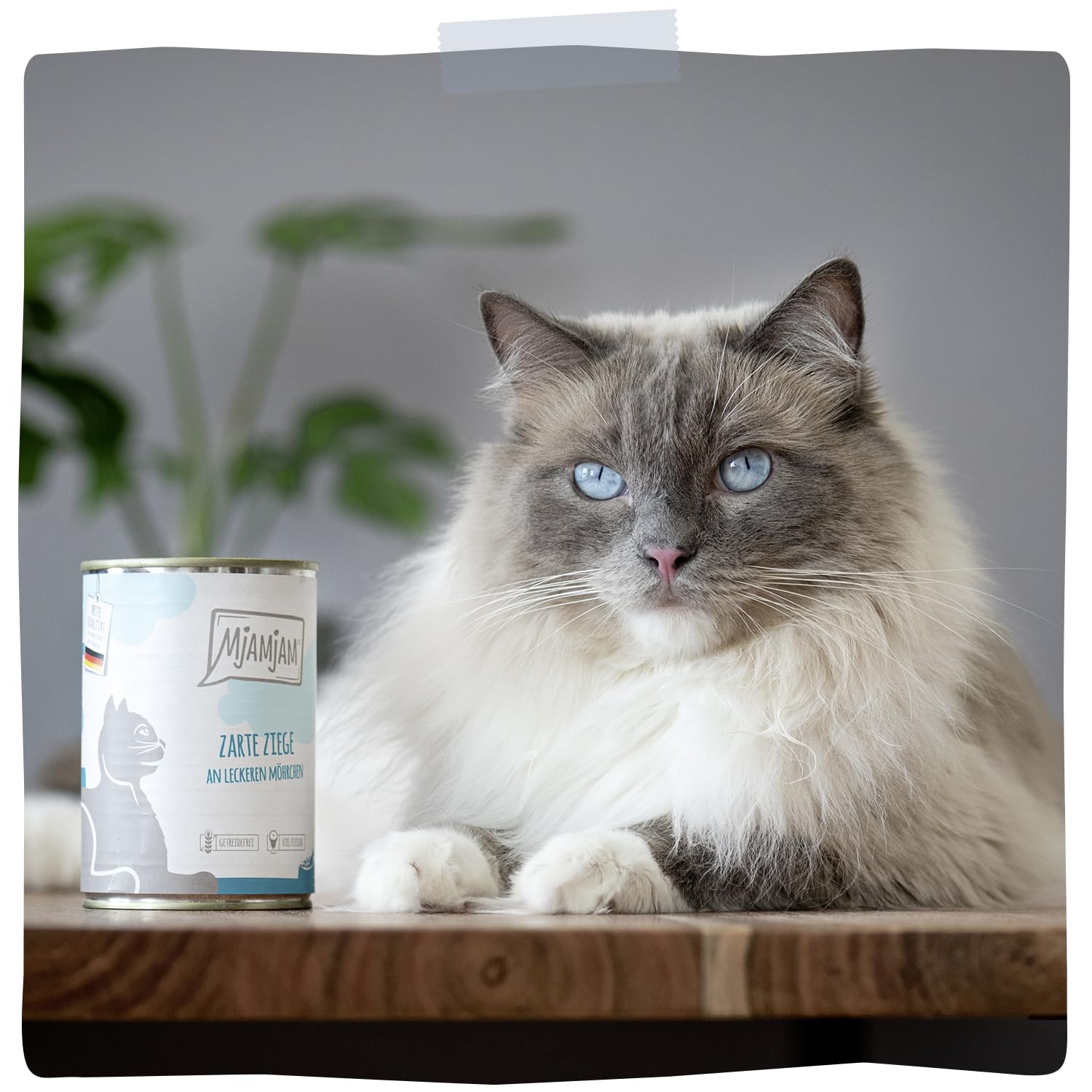 mjamjam-leckere-mahlzeiten-mixpaket-ii-katzen-nassfutter-6-x-400-g image 6