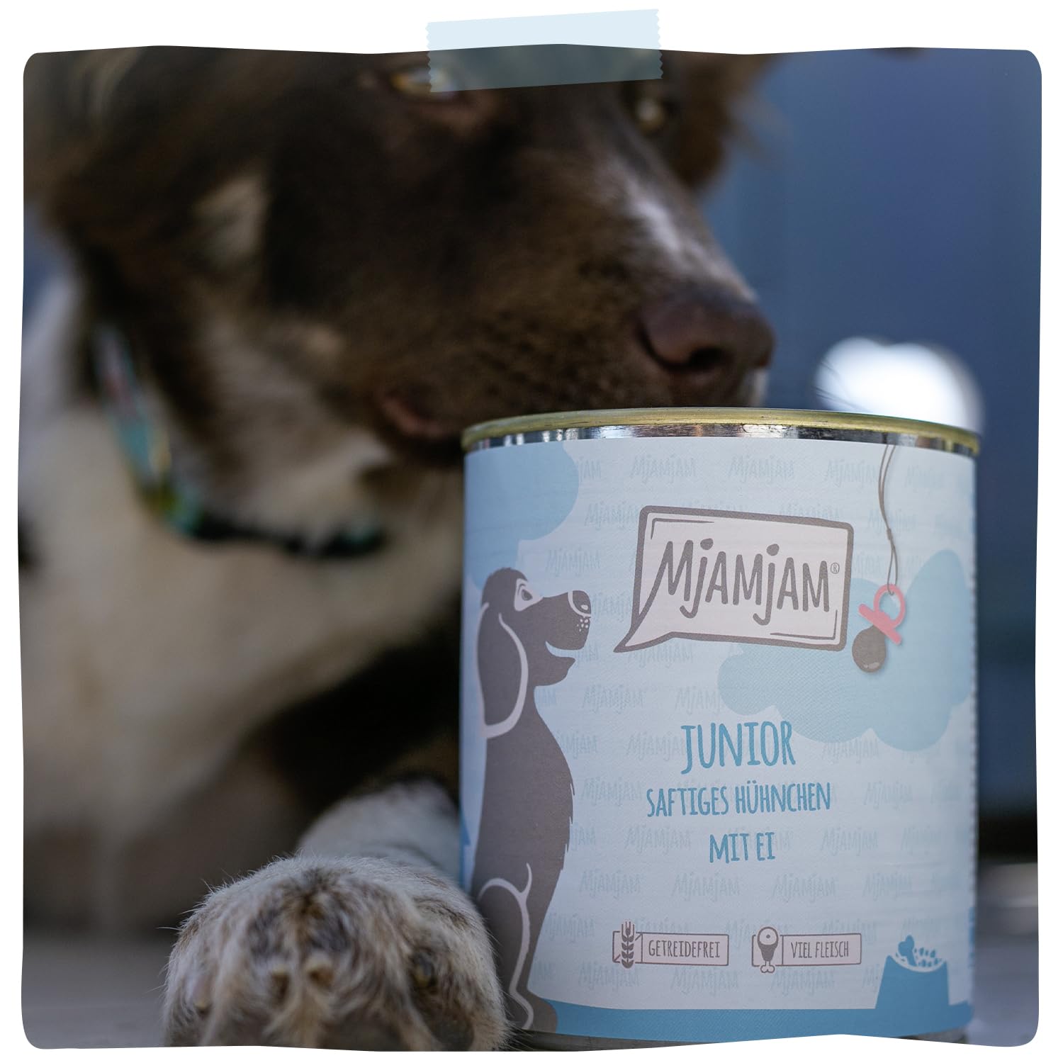 mjamjam-junior-hundenassfutter-saftiges-h-hnchen-mit-ei-6-x-800g image 7