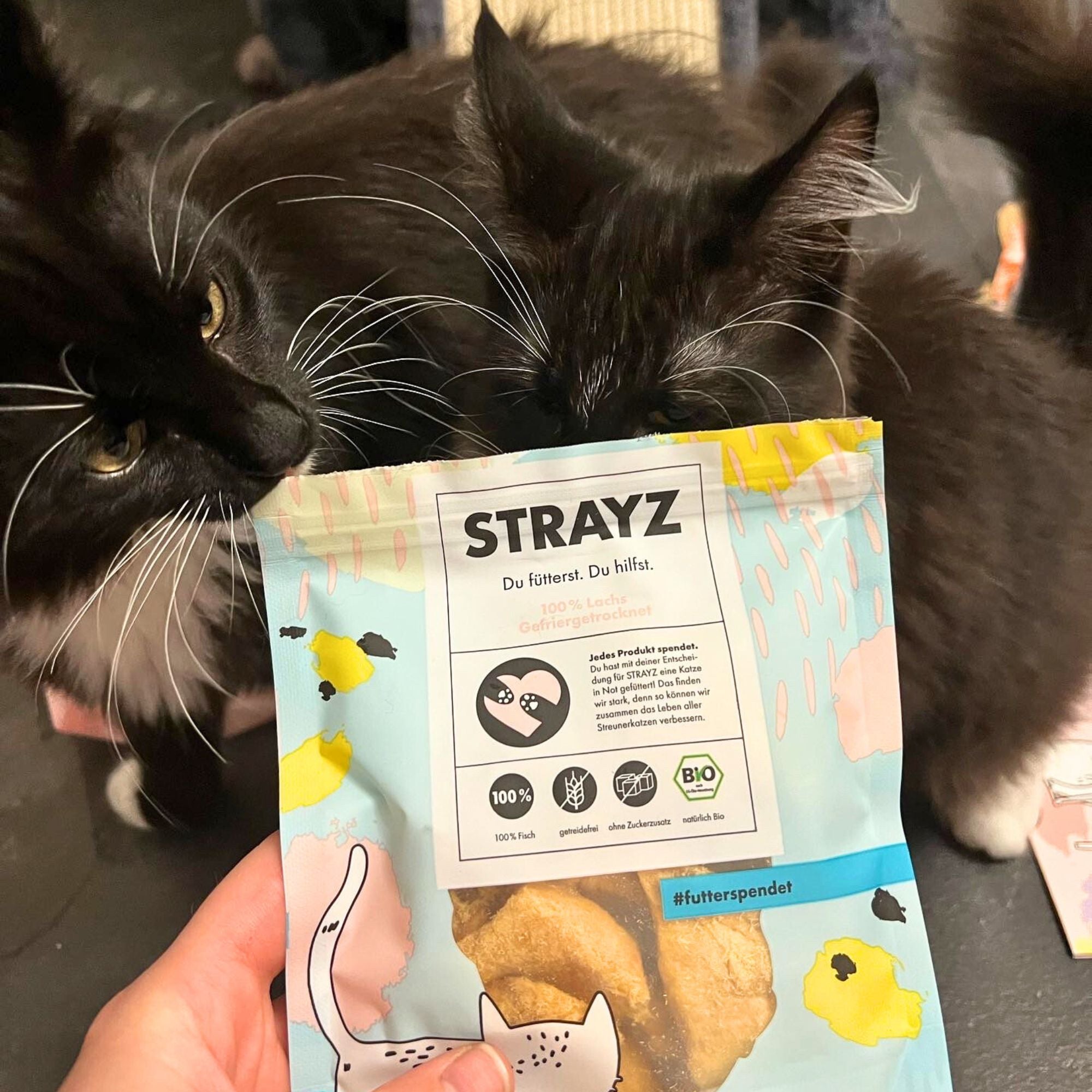 strayz-100-lachs-gefriergetrockneter-bio-snack-f-r-katze-hund image 5