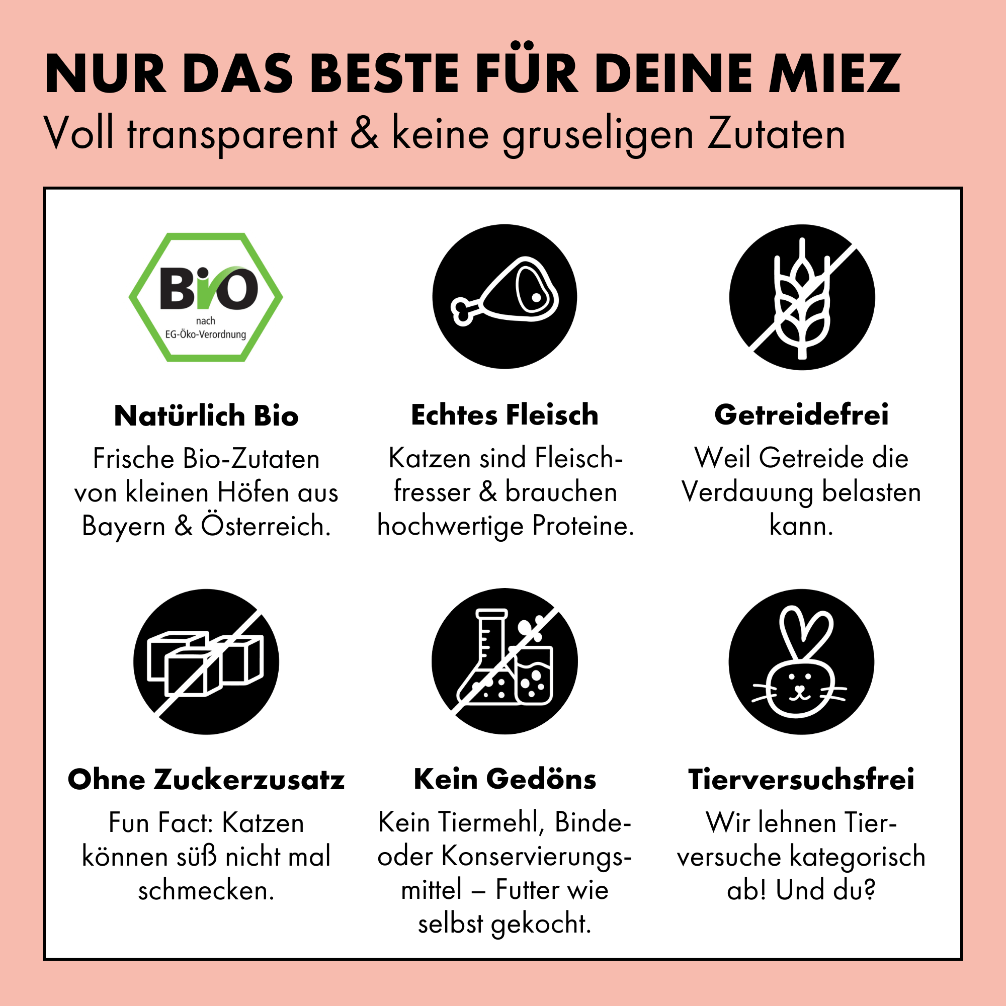 strayz-bio-katzen-nassfutter-lachs-huhn-k-rbis-in-so-e image 2