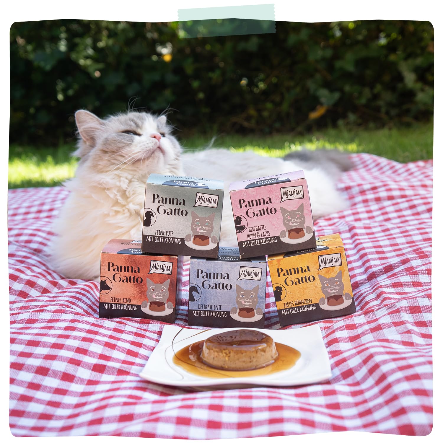 mjamjam-panna-gatto-feine-pute-nassfutter-katze-2-x-80-g image 6
