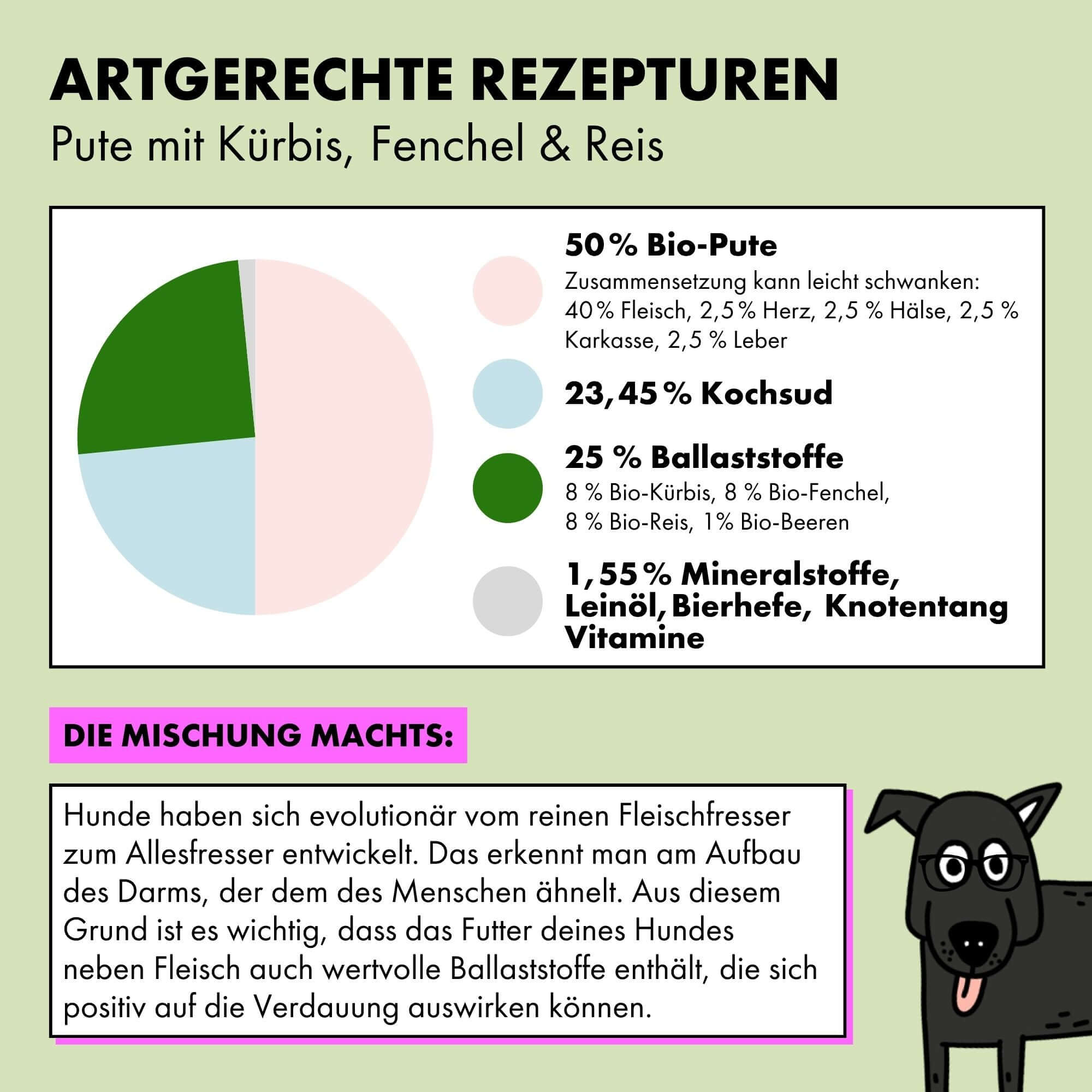 strayz-bio-hunde-nassfutter-pute-mit-k-rbis-fenchel-reis image 4