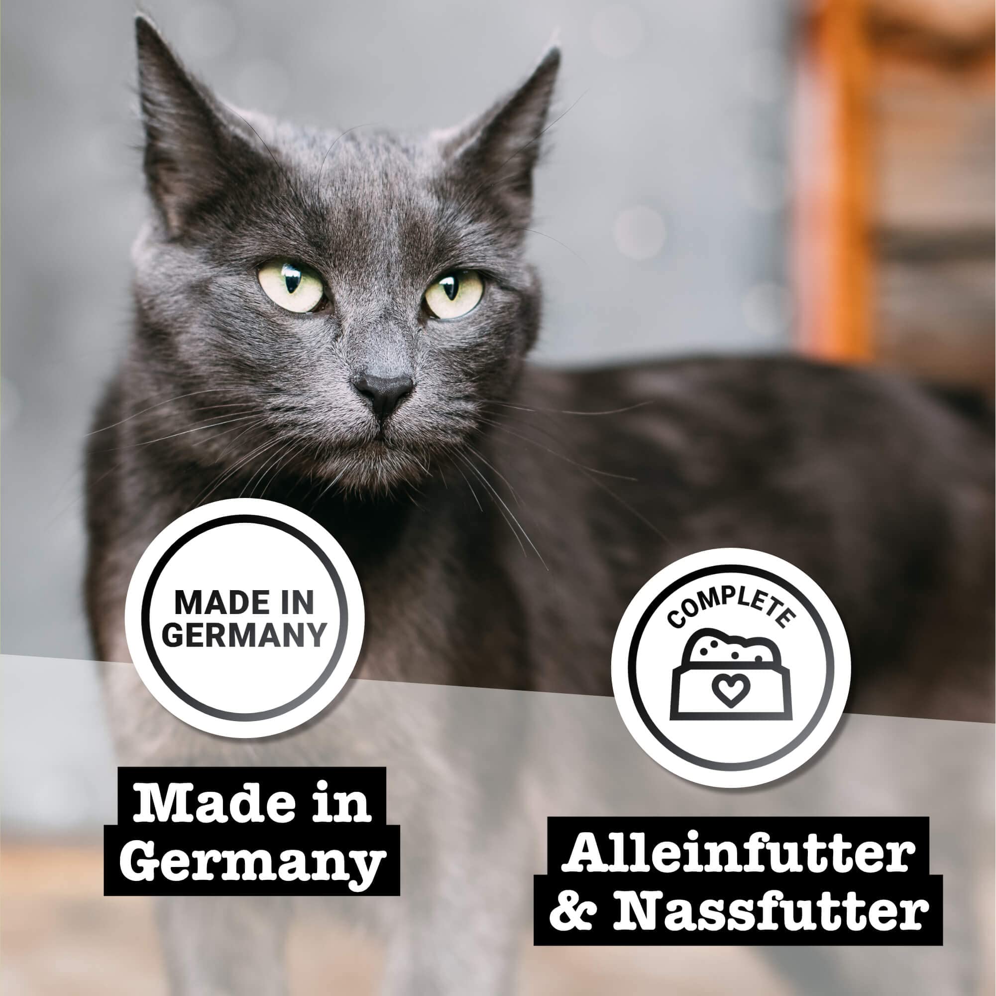 catz-finefood-purrrr-n-107-k-nguru-monoprotein-katzen-nassfutter-6-x-200-g image 5