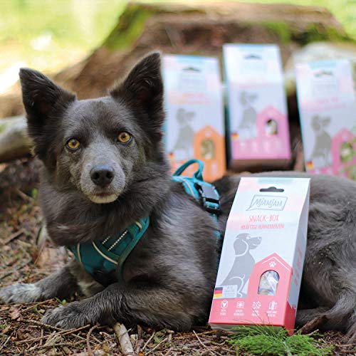 mjamjam-snackbox-delikate-riesengarnelen-hundesnack-5-x-50-g image 6