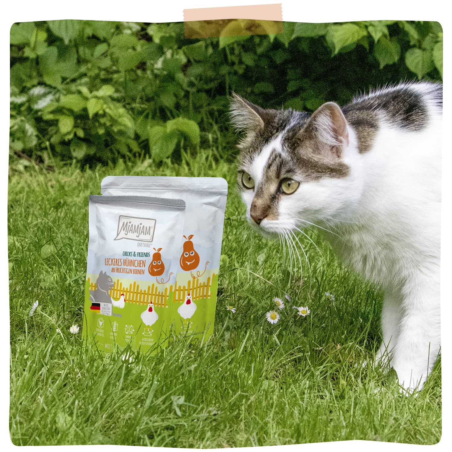mjamjam-leckere-mahlzeiten-premium-nassfutter-f-r-katzen-h-hnchen-mit-birne-6-x- image 6
