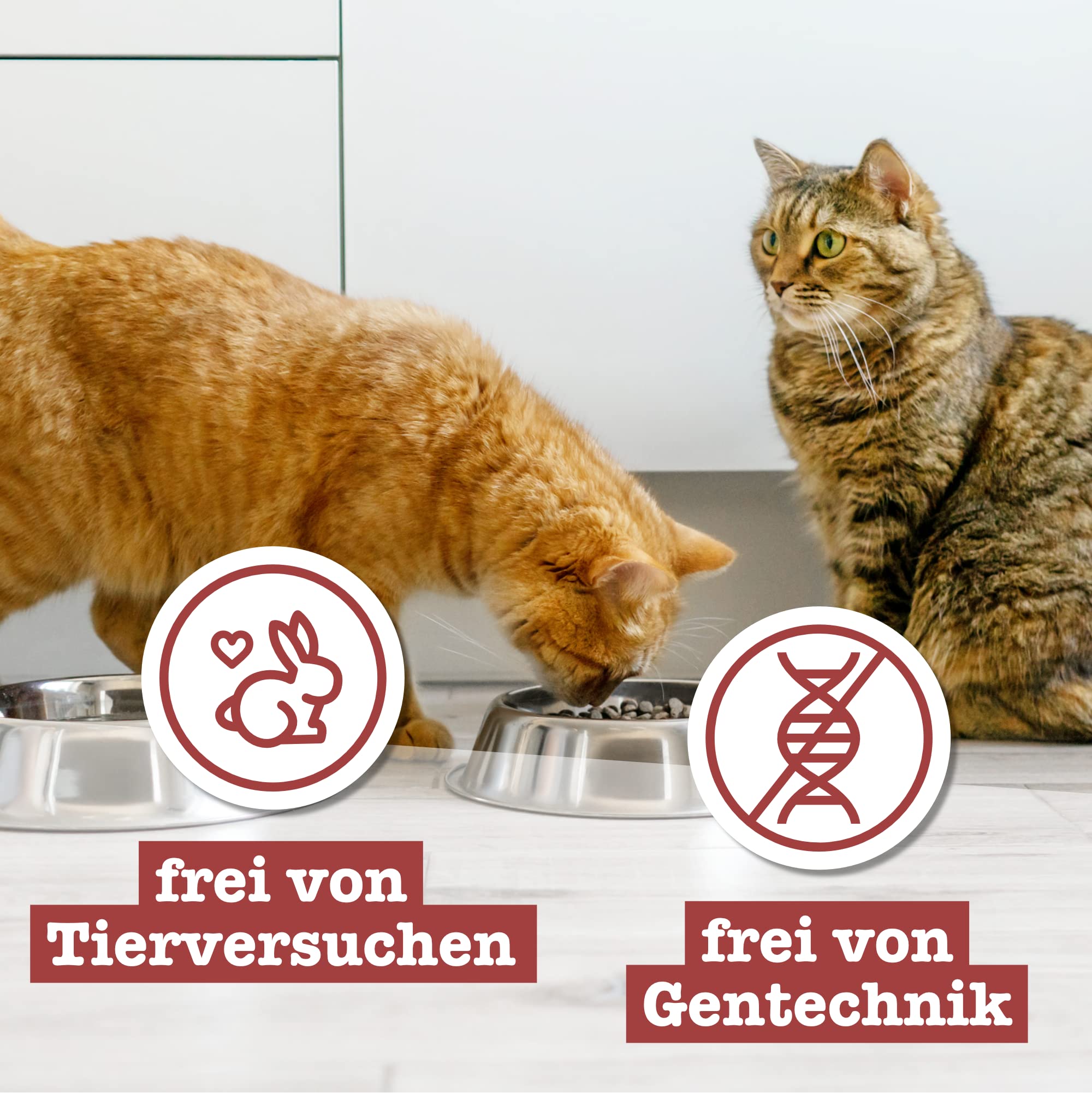 catz-finefood-classic-senior-huhn-nassfutter-f-r-ltere-katzen-16-x-85-g-beutel image 6