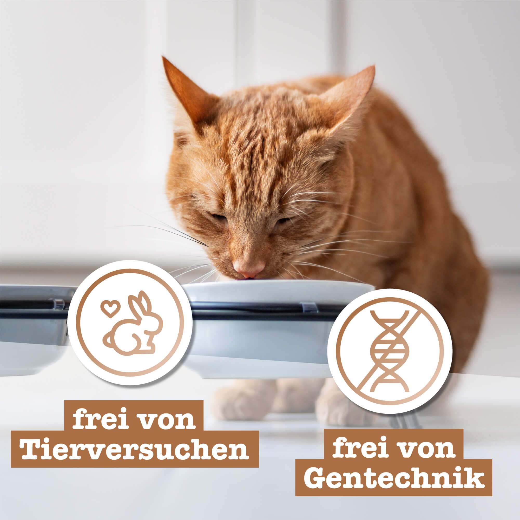 catz-finefood-classic-n-9-wild-premium-nassfutter-f-r-katzen-6-x-300-g-beutel image 6