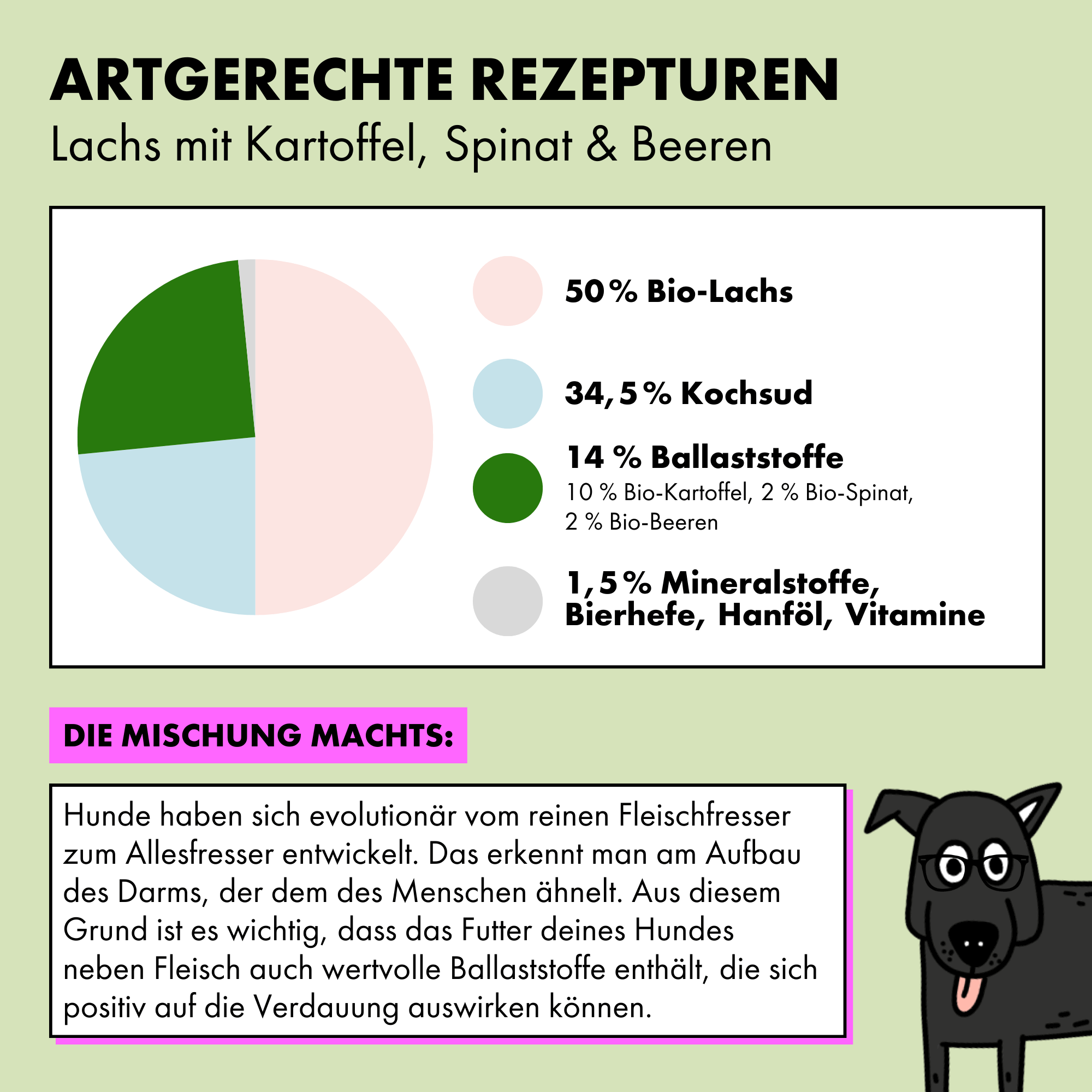 strayz-bio-nassfutter-f-r-hunde-lachs-mit-kartoffel-spinat-beeren image 5