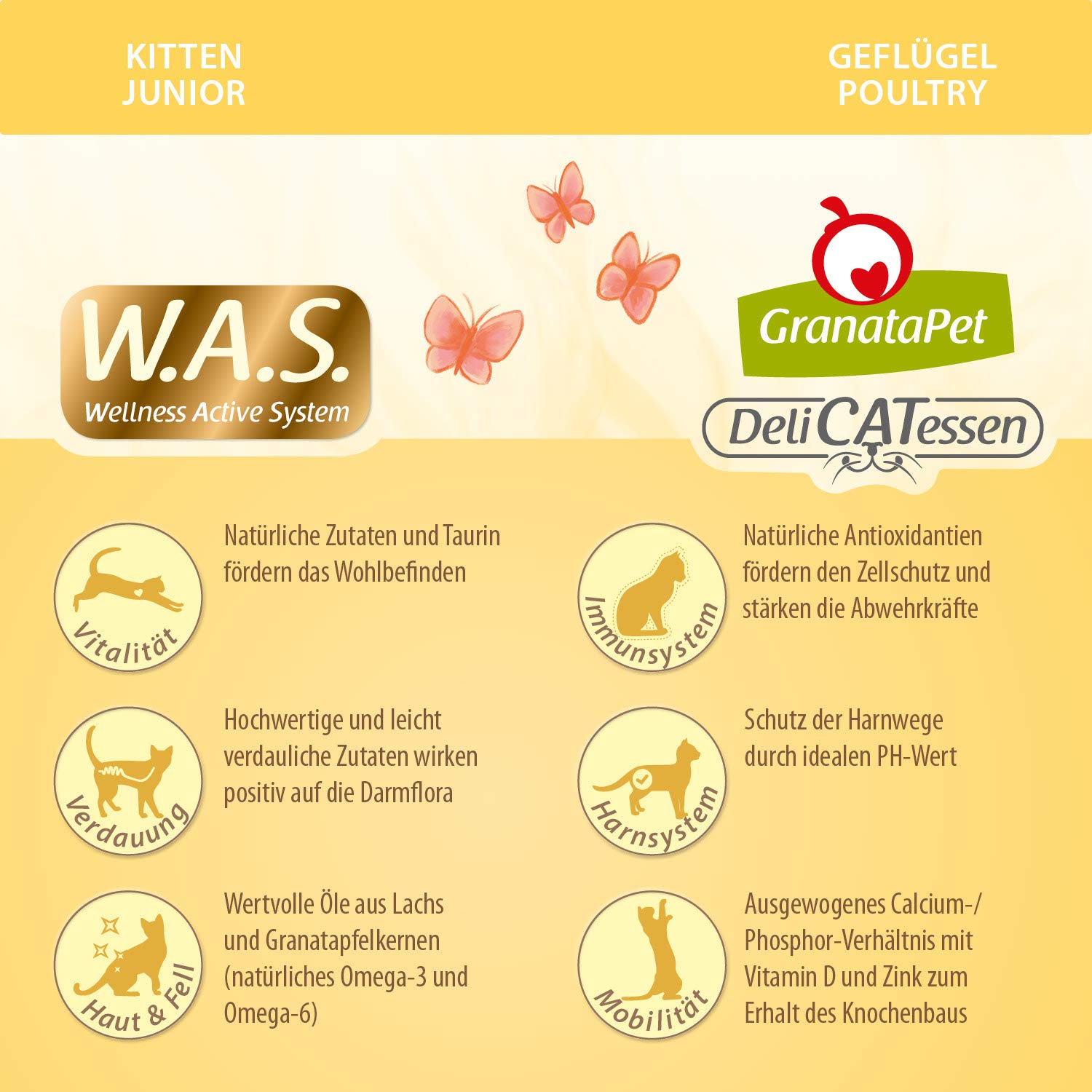 granatapet-delicatessen-kitten-junior-gefl-gel-nassfutter-300-g image 6