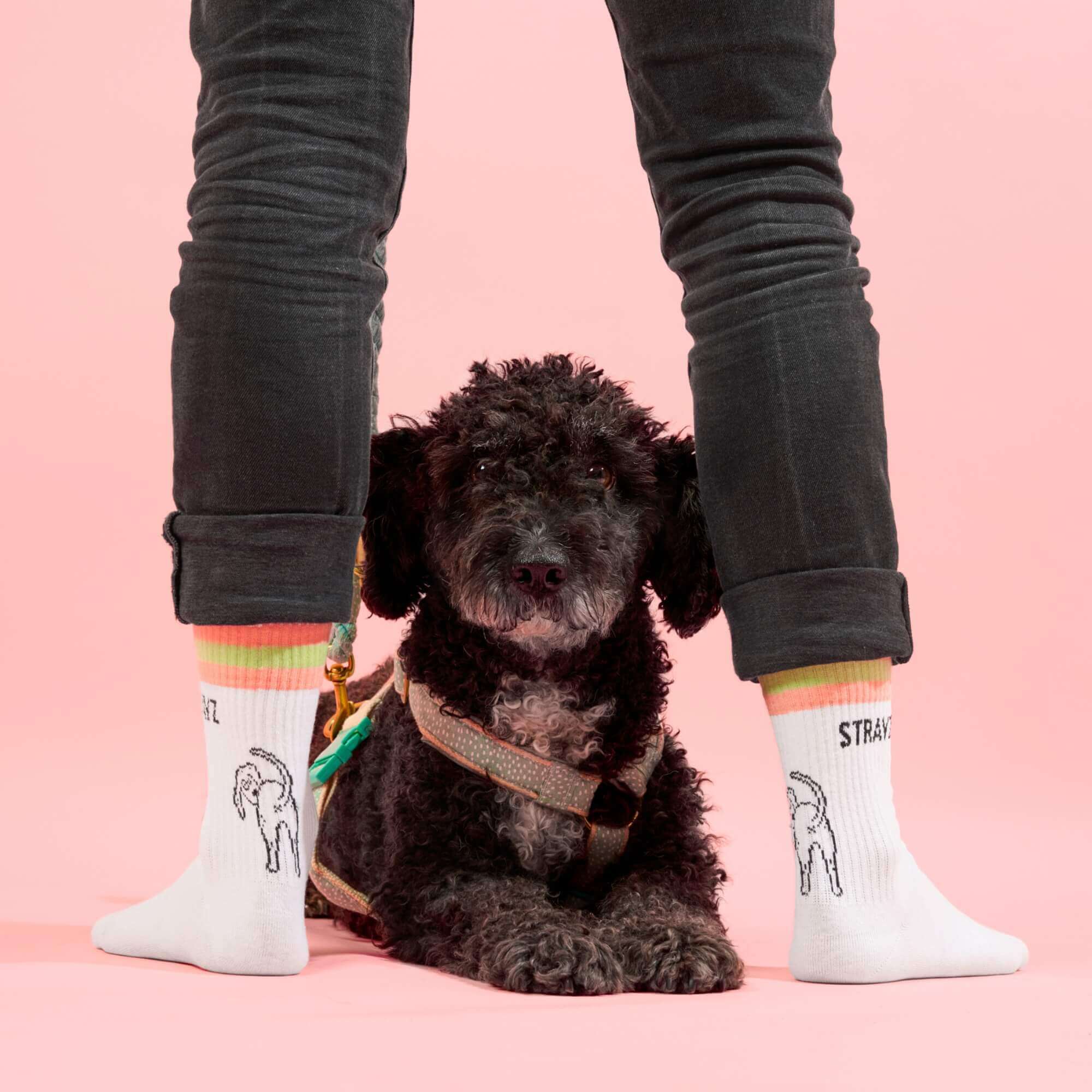 strayz-doggo-tennissocken-socken image 4