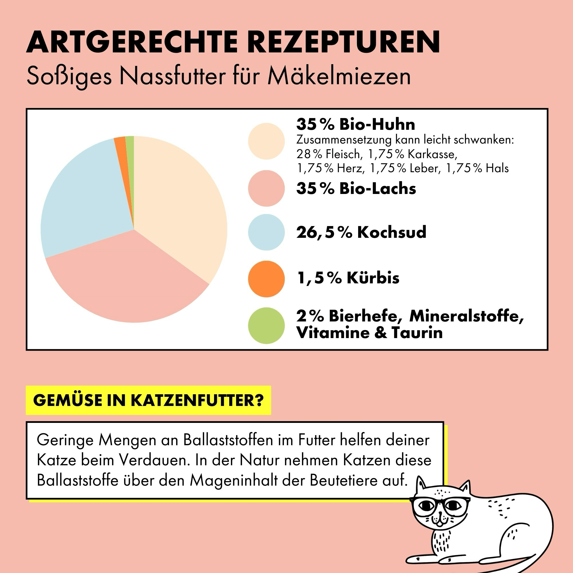 strayz-bio-katzen-nassfutter-lachs-huhn-k-rbis-in-so-e image 4