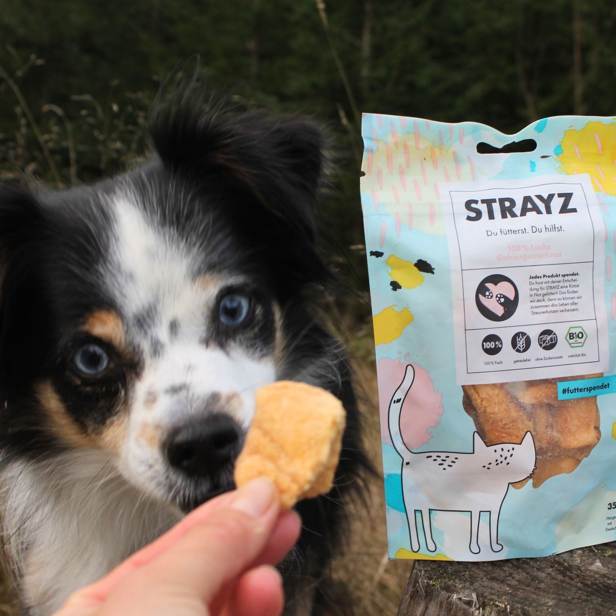 strayz-100-lachs-gefriergetrockneter-bio-snack-f-r-katze-hund image 6