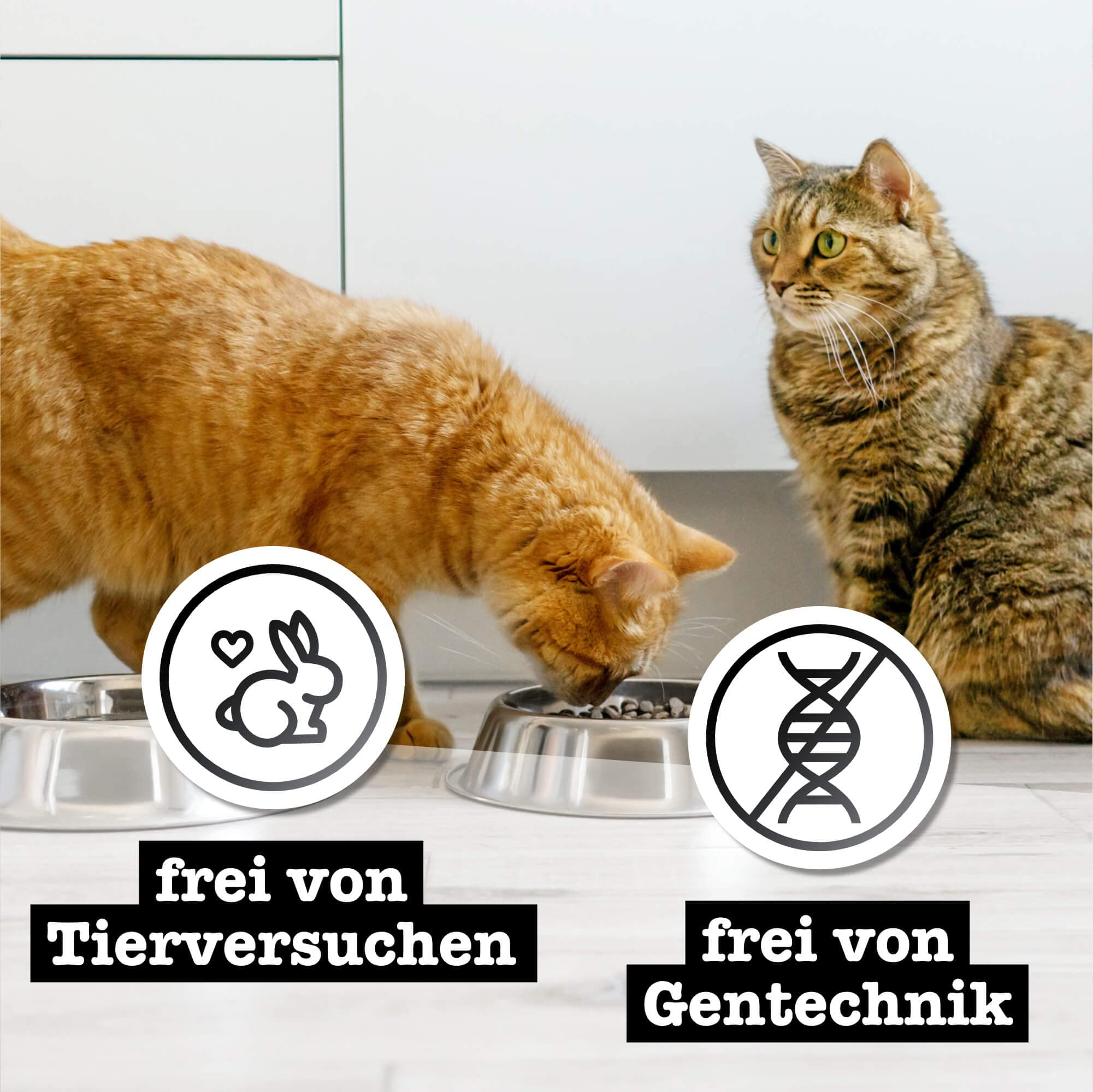 catz-finefood-purrrr-n-113-schaf-monoprotein-katzen-nassfutter-6x400g image 7