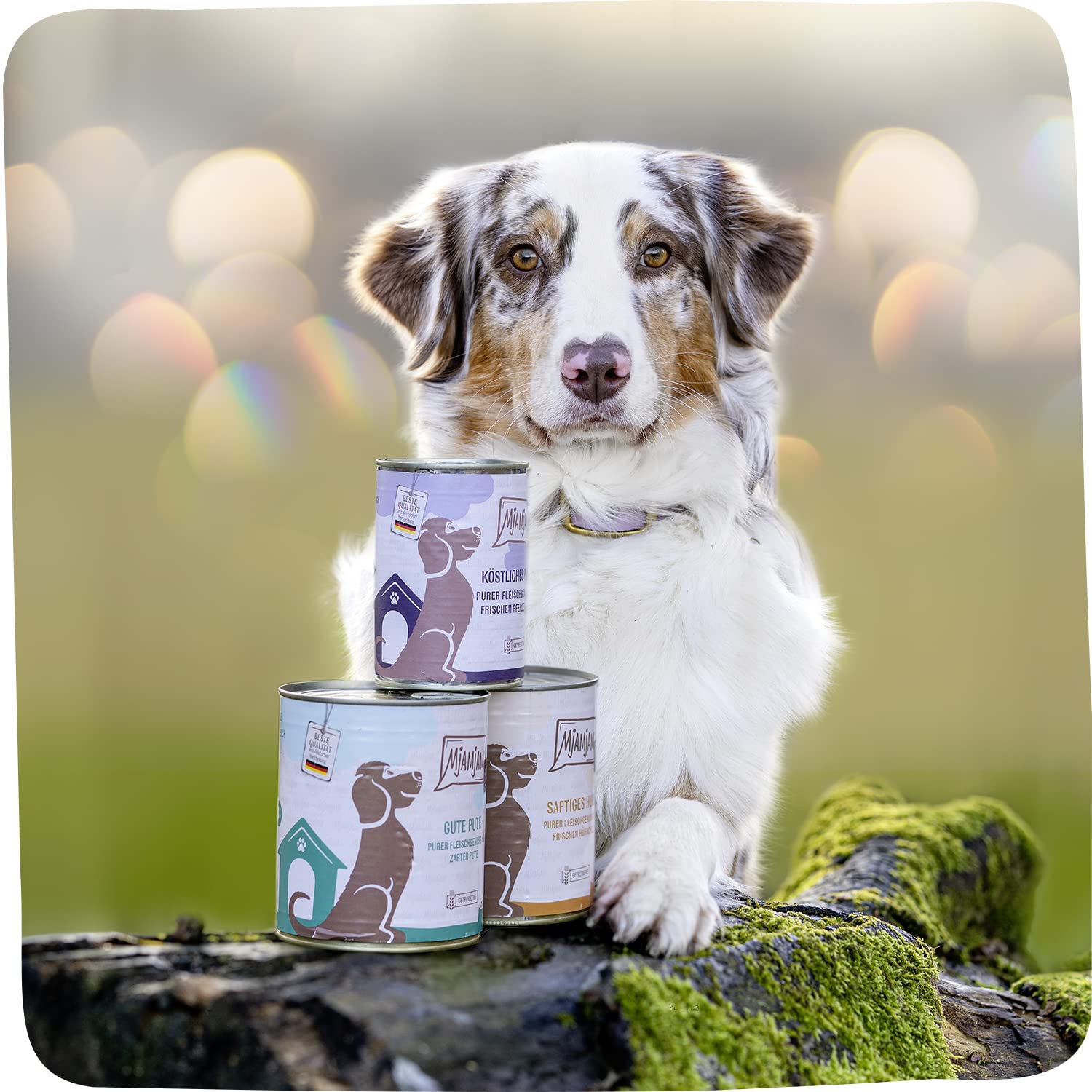 mjamjam-purer-fleischgenuss-hunde-nassfutter-pute-pur-6x200g image 3