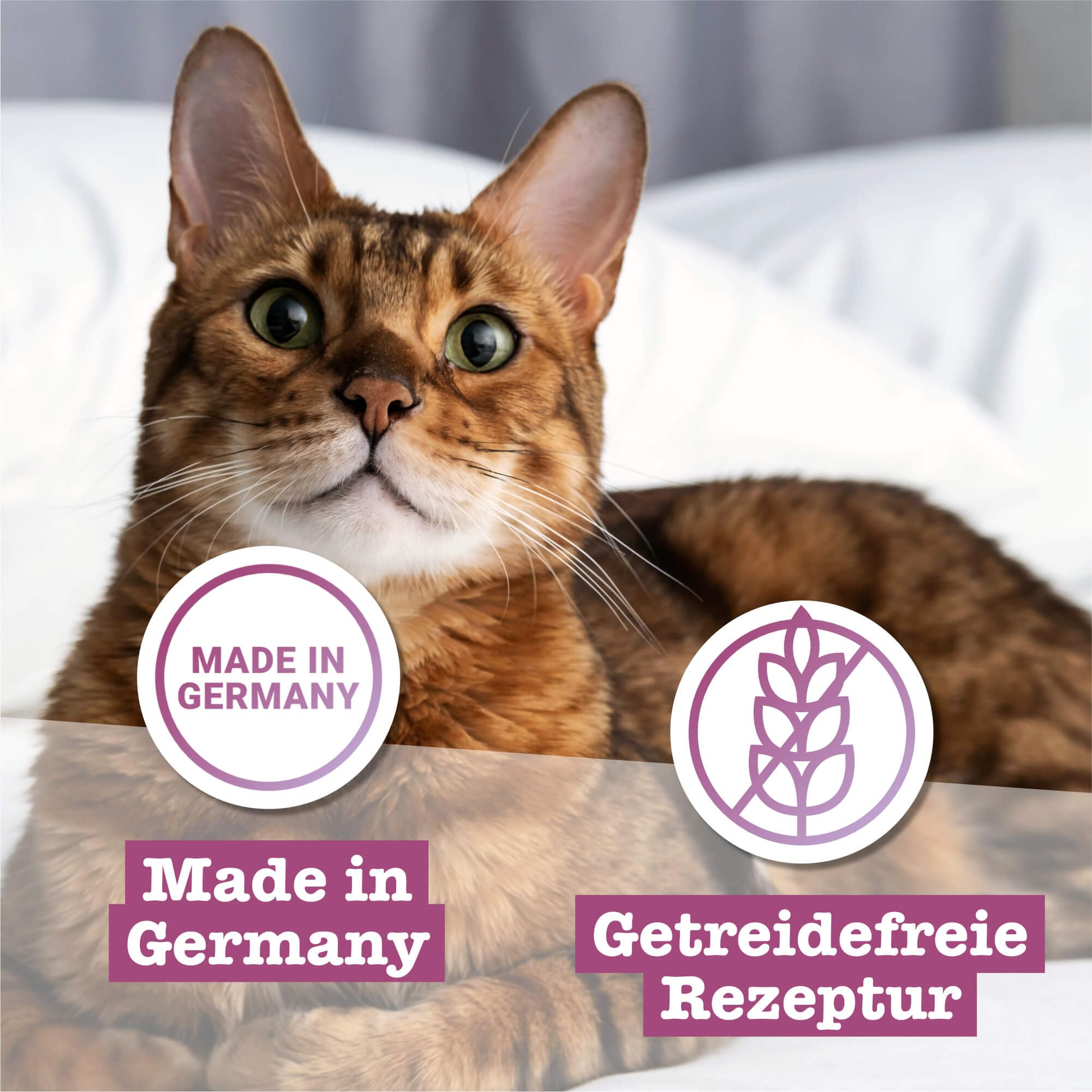 catz-finefood-feinkost-multipack-2-nassfutter-f-r-katzen-6-x-200-g-dosen image 5