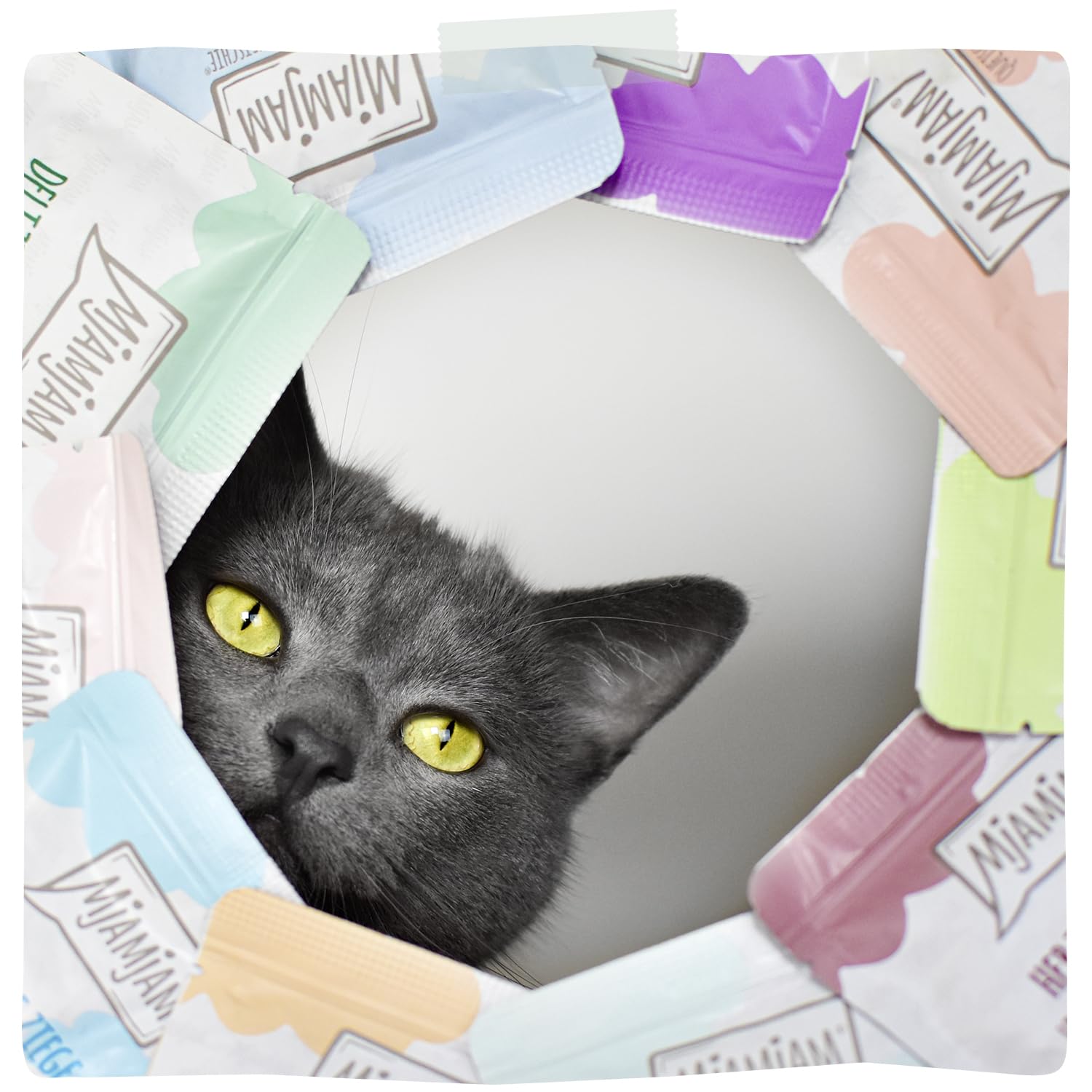 mjamjam-duo-nassfutter-f-r-katzen-kalb-hering-1-x-400g image 6