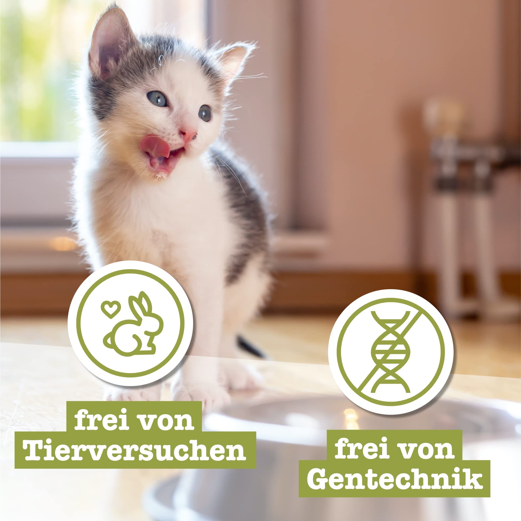 catz-finefood-kitten-n-5-lachs-gefl-gel-katzen-nassfutter-16x85g image 6