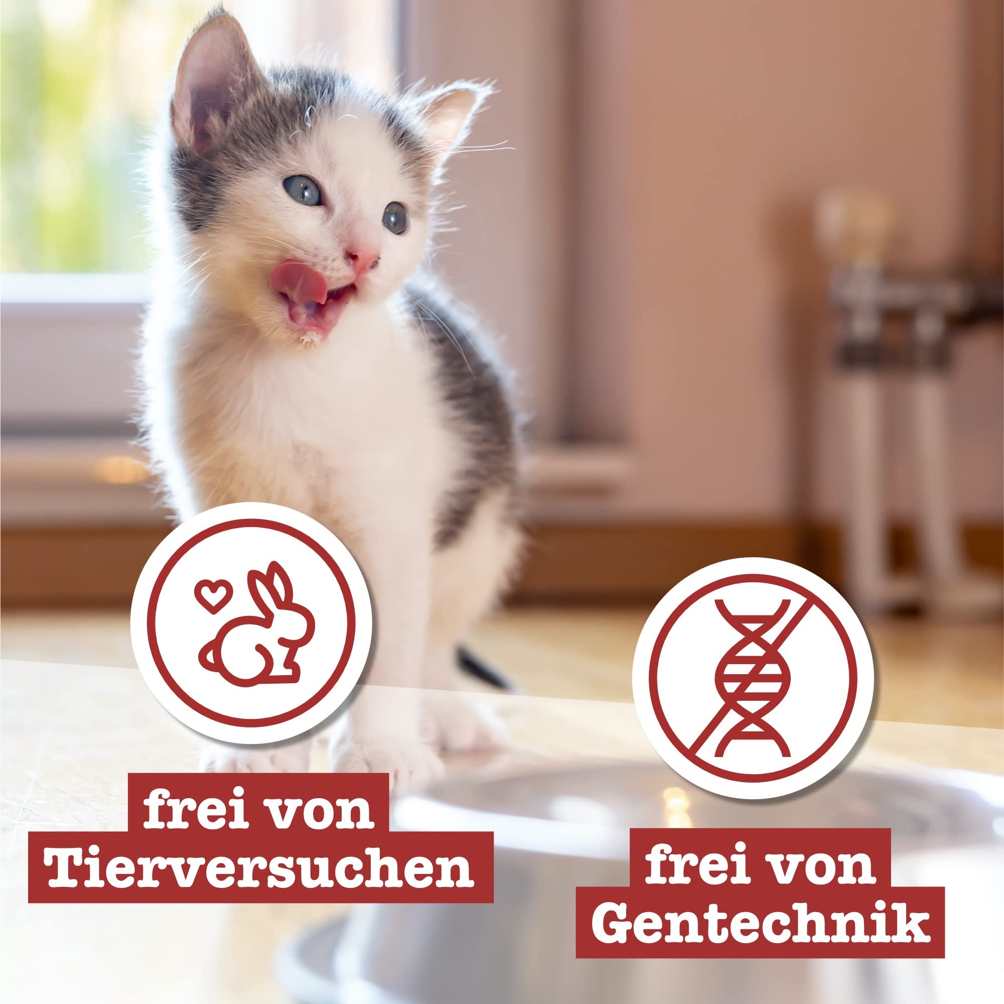 catz-finefood-kitten-n-3-nassfutter-f-r-katzen-gefl-gel-6-x-300g image 6