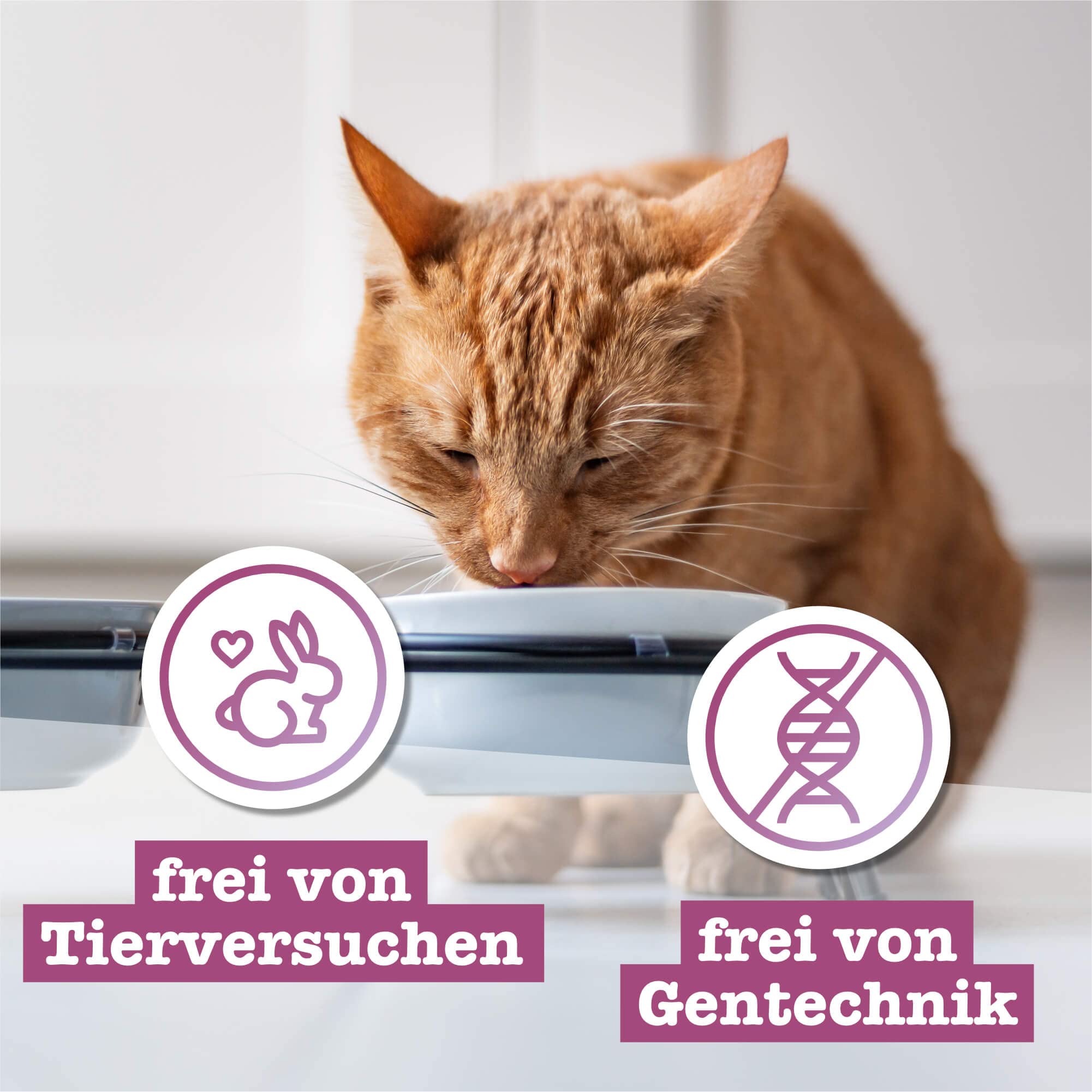 catz-finefood-multipack-2-nassfutter-f-r-katzen-12-x-85g-mix-paket-mit-huhn-rind image 5