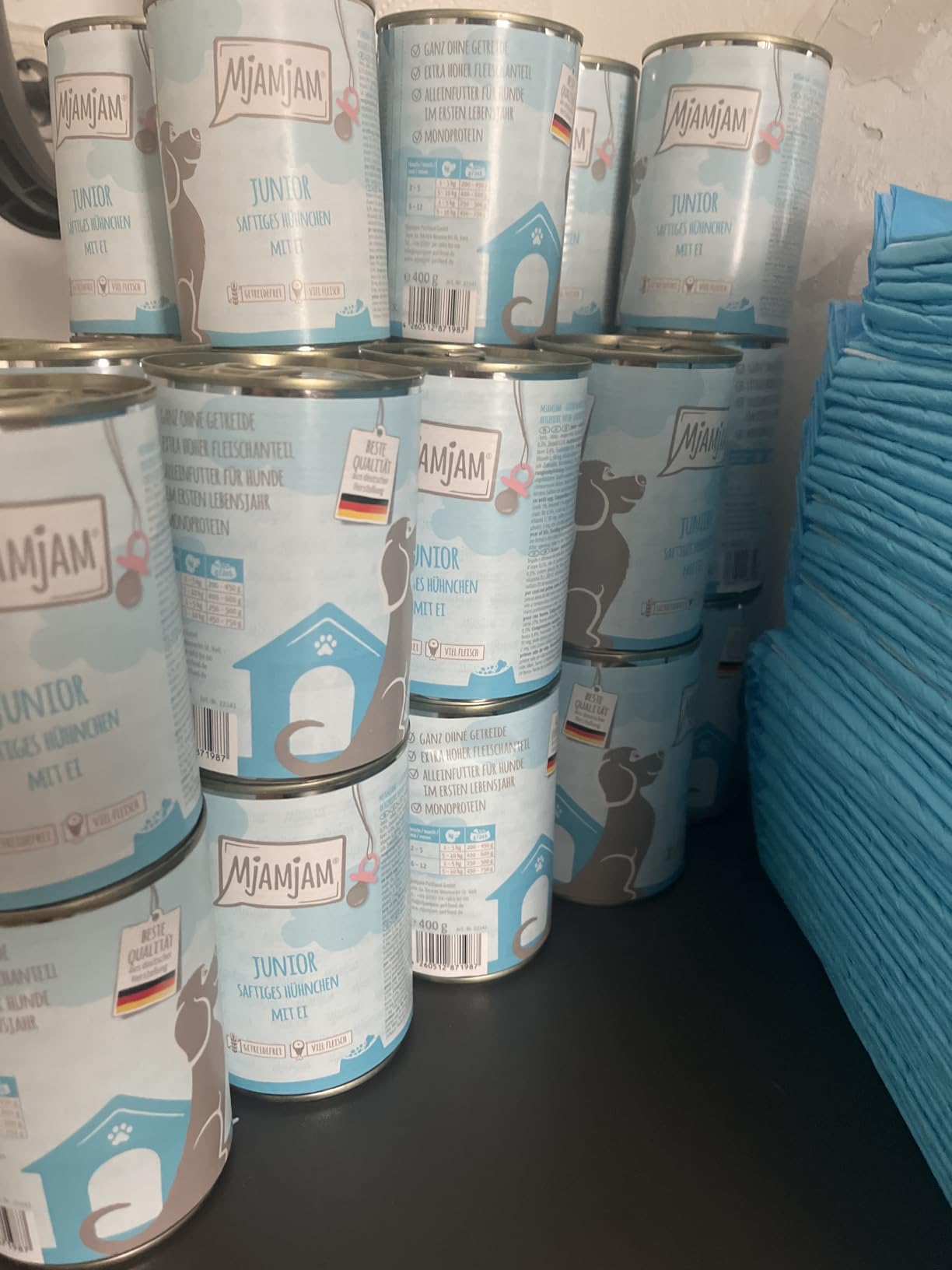 Welpe wächst prächtig