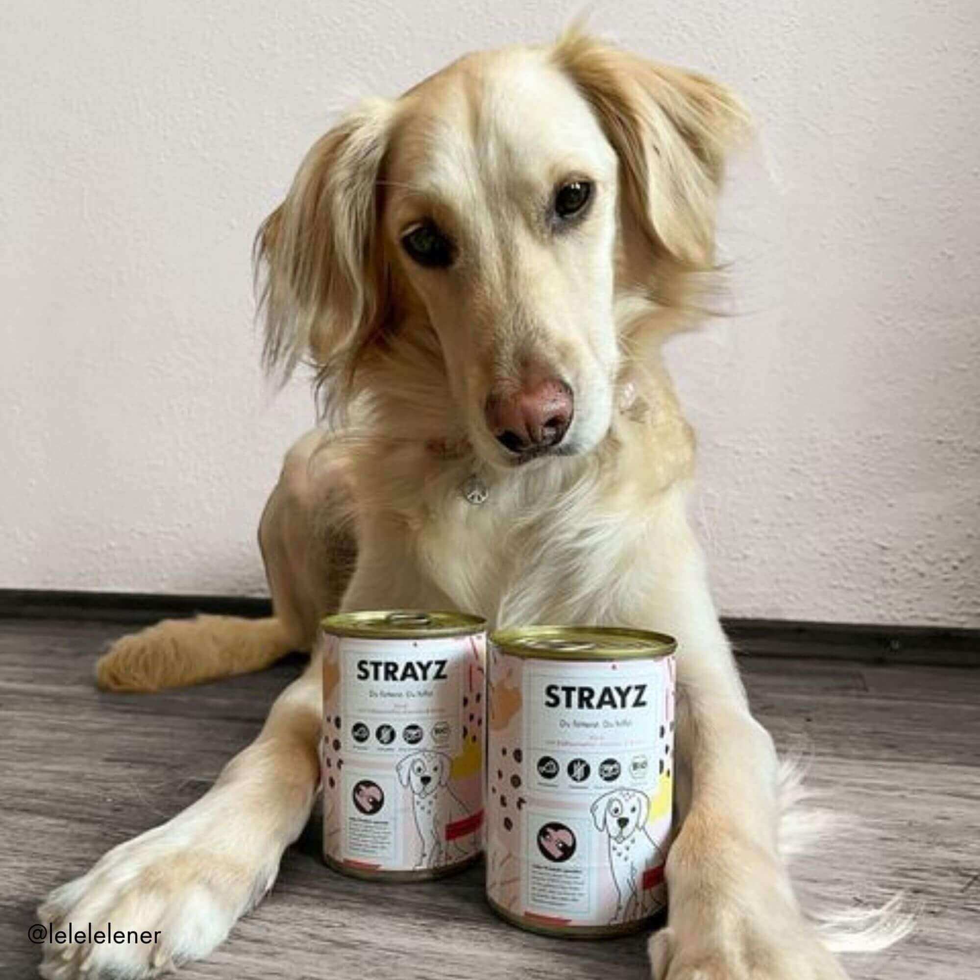 strayz-bio-nassfutter-hund-rind-mit-s-kartoffel-karotte-birne image 8