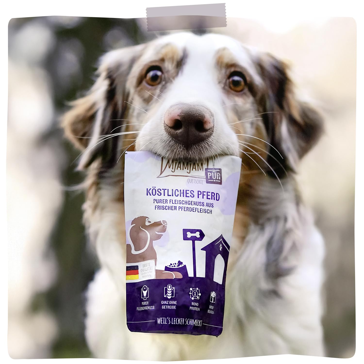 mjamjam-purer-fleischgenuss-pferd-pur-hundefutter-6-x-400g image 6