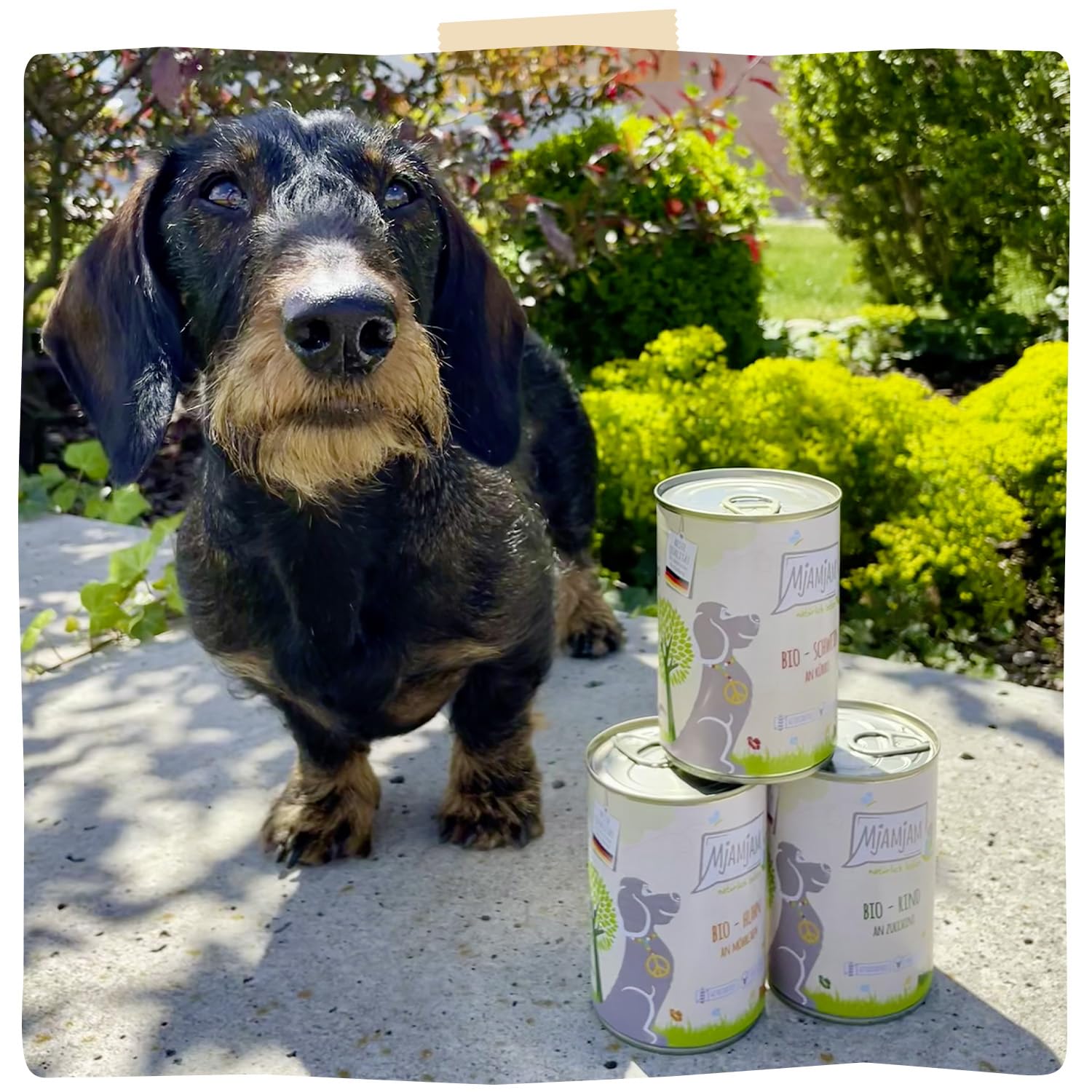 mjamjam-nat-rlich-lecker-bio-box-premium-nassfutter-f-r-hunde-6-x-400g image 7