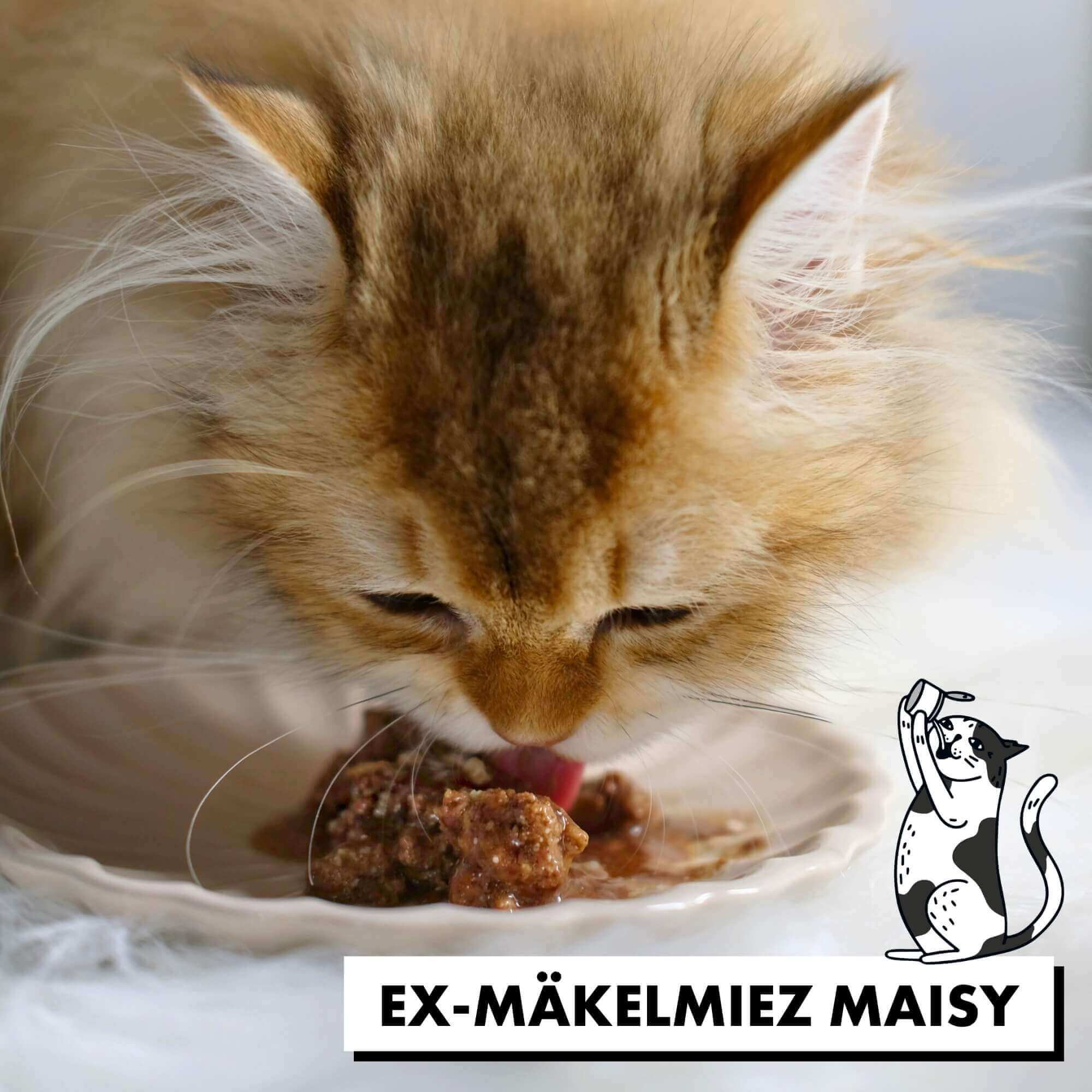 strayz-bio-katzen-nassfutter-rind-rote-bete-in-so-e image 6
