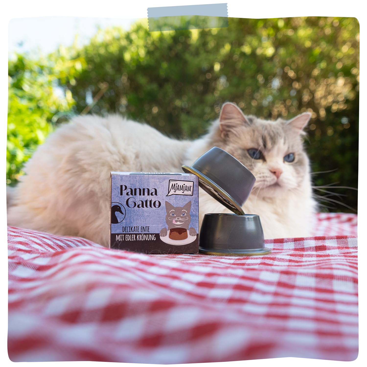 mjamjam-panna-gatto-nassfutter-f-r-katzen-ente-mit-kr-nung-2-x-80g-getreidefrei image 6