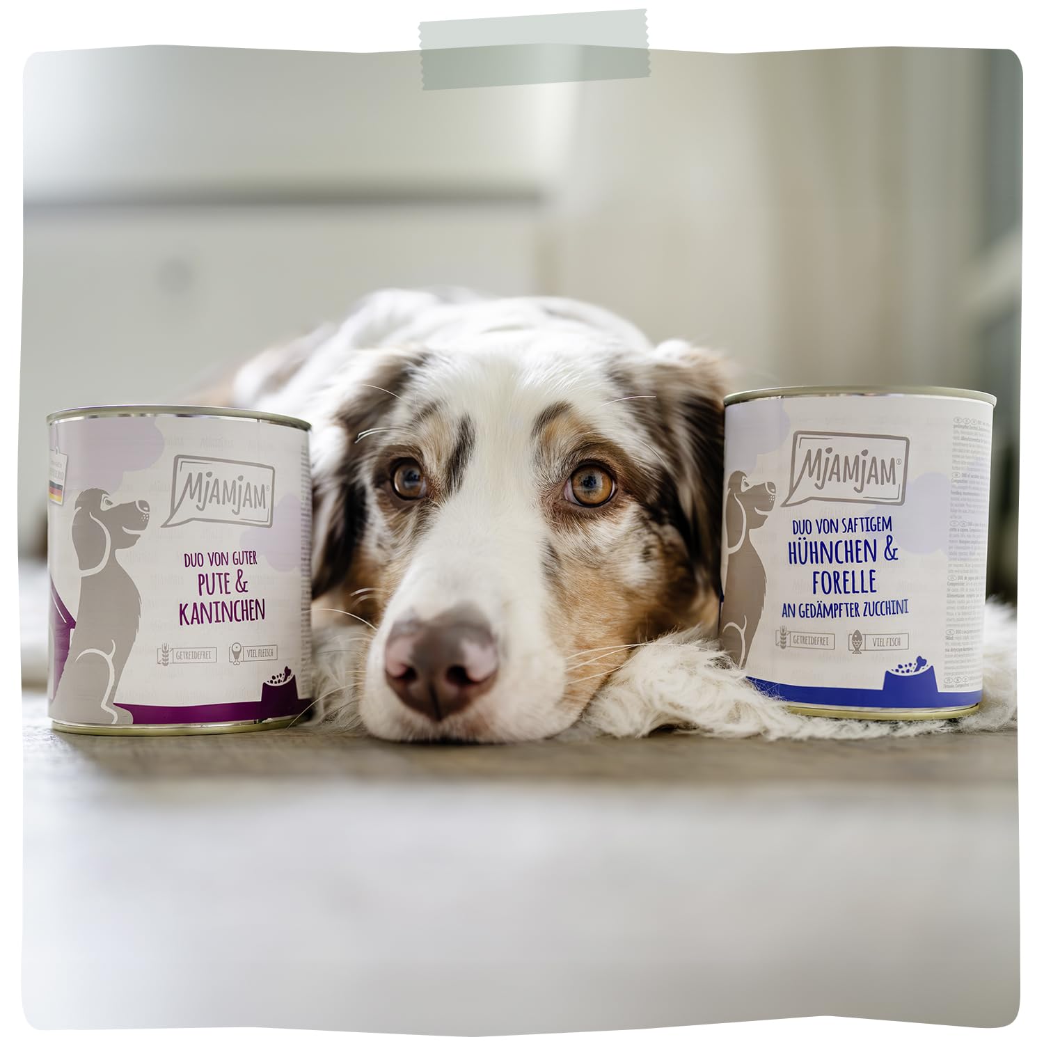 mjamjam-premium-nassfutter-f-r-hunde-kalb-mit-zucchini-6er-pack-6-x-200-g image 6