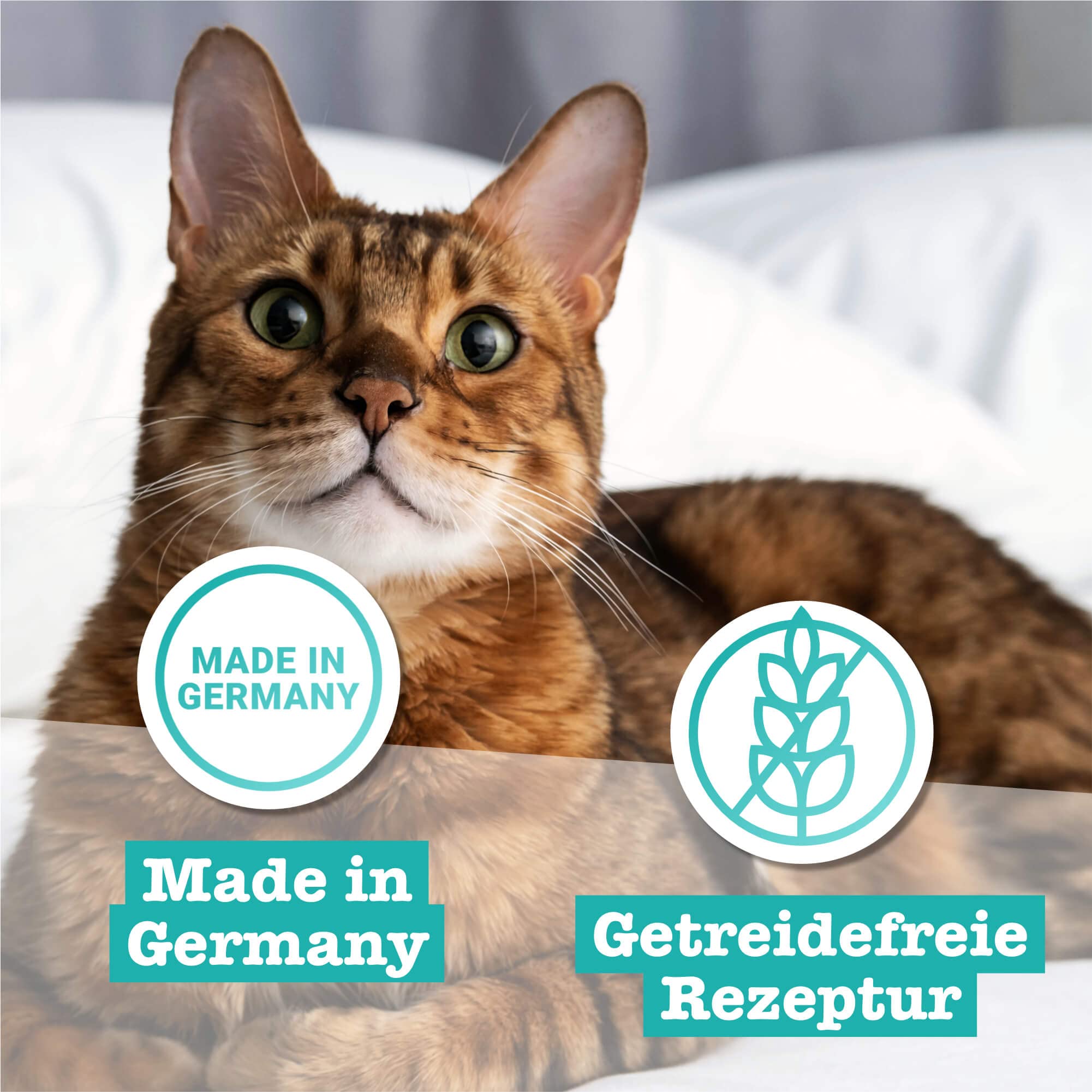 catz-finefood-classic-n-21-katzennassfutter-wild-rotbarsch-6-x-400g image 5