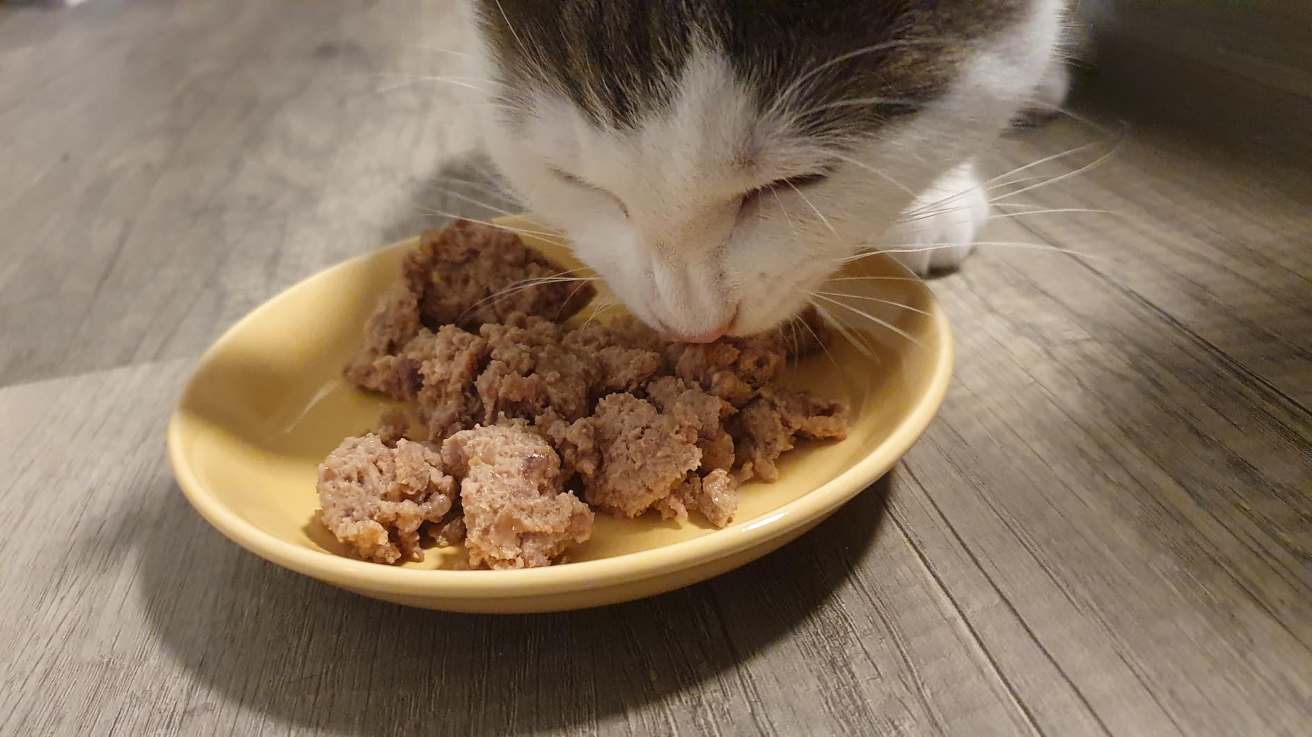 Für Allergikerkatze ideal