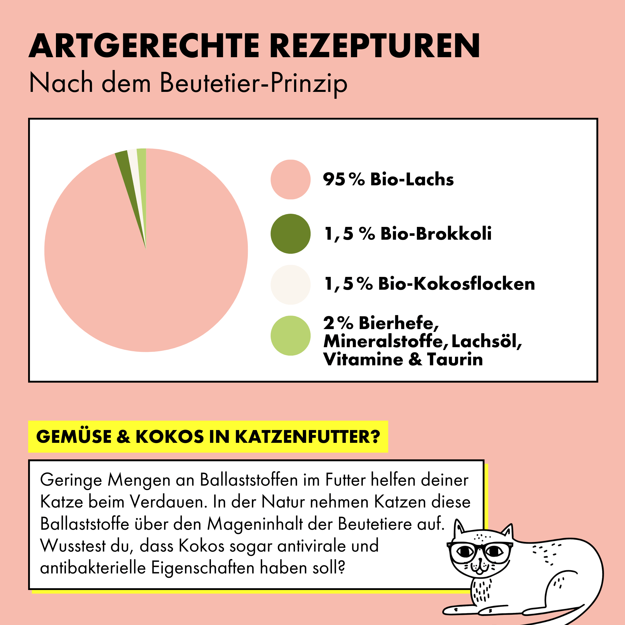 strayz-lachs-brokkoli-bio-nassfutter-f-r-katzen image 4