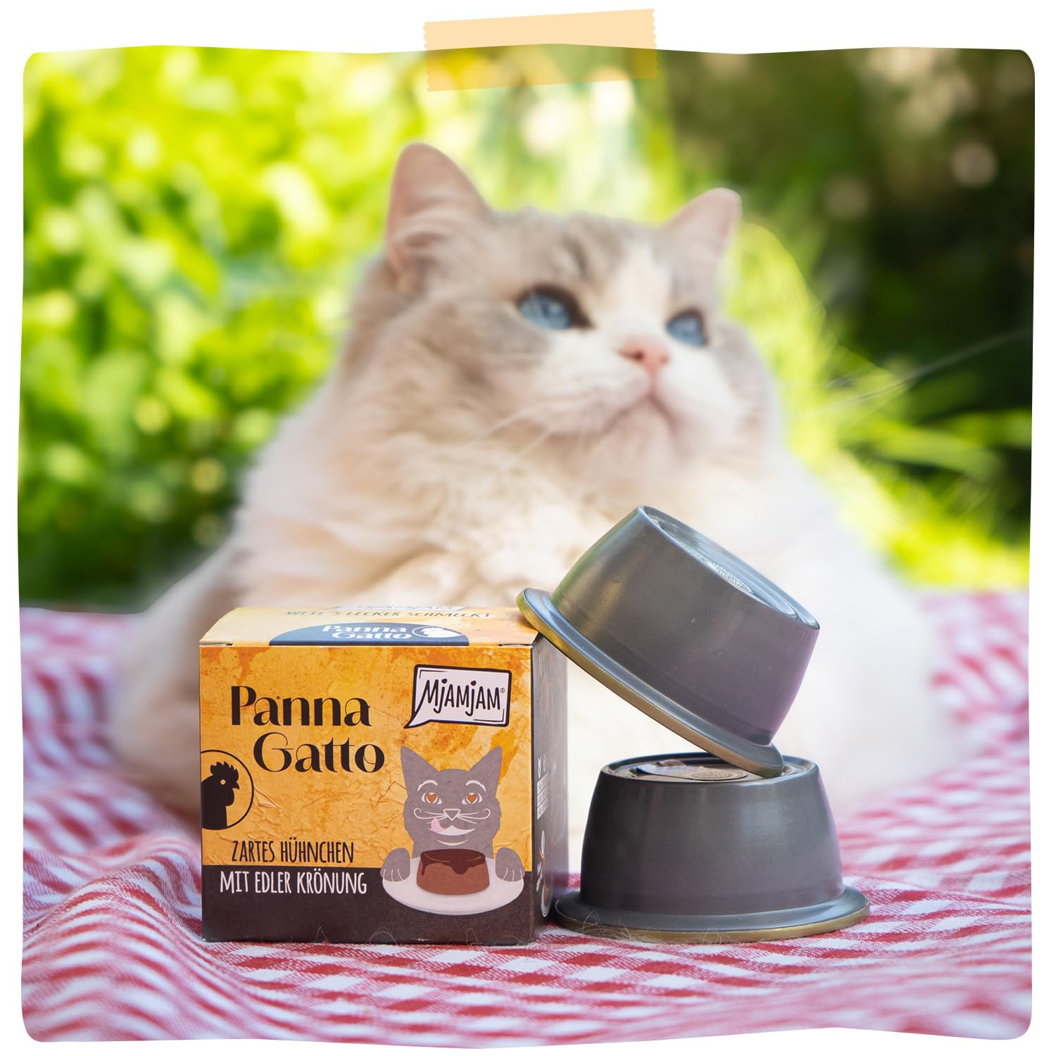 mjamjam-panna-gatto-h-hnchen-katzen-dessert-2-x-80-g image 6