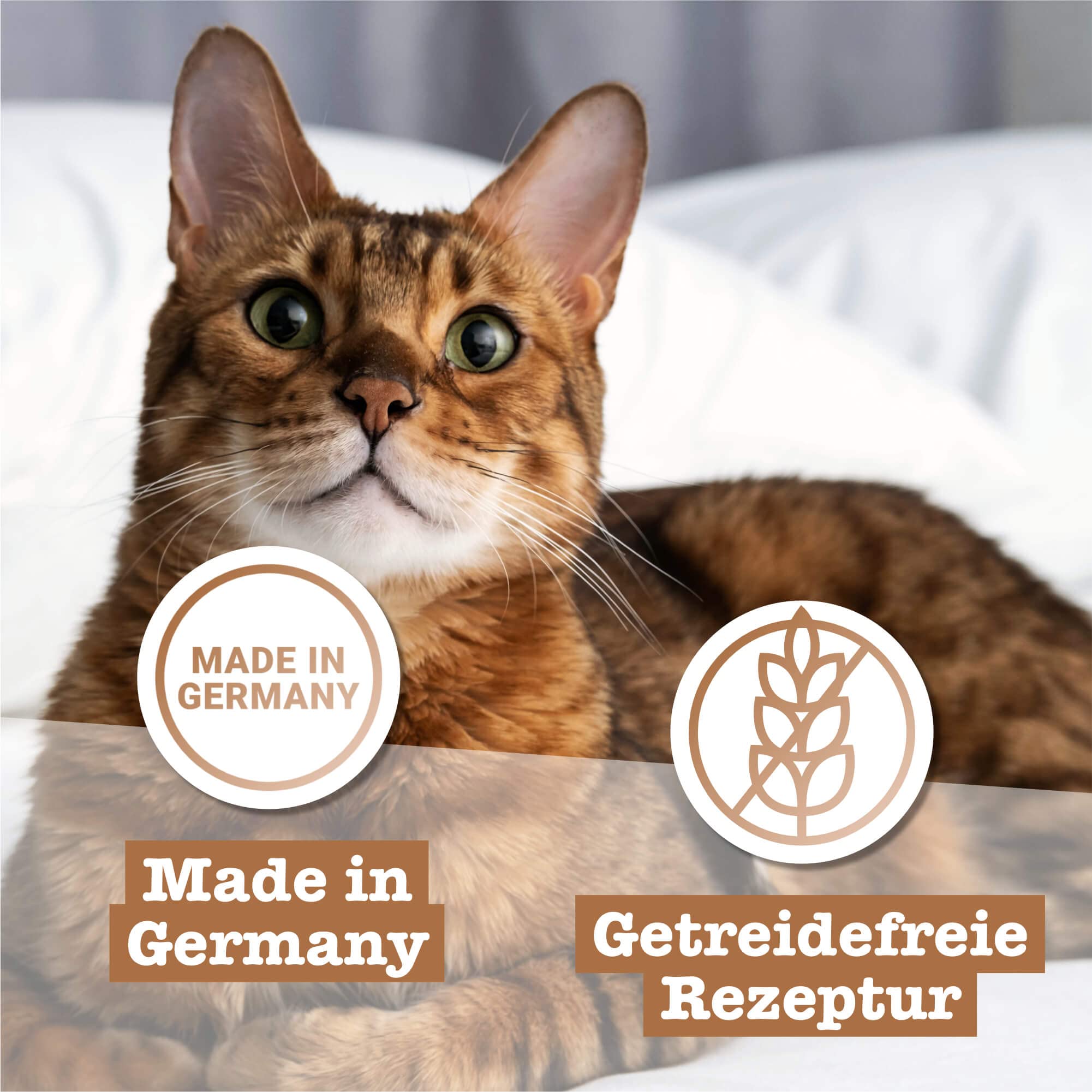 catz-finefood-classic-n-9-wild-premium-nassfutter-f-r-katzen-6-x-300-g-beutel image 5