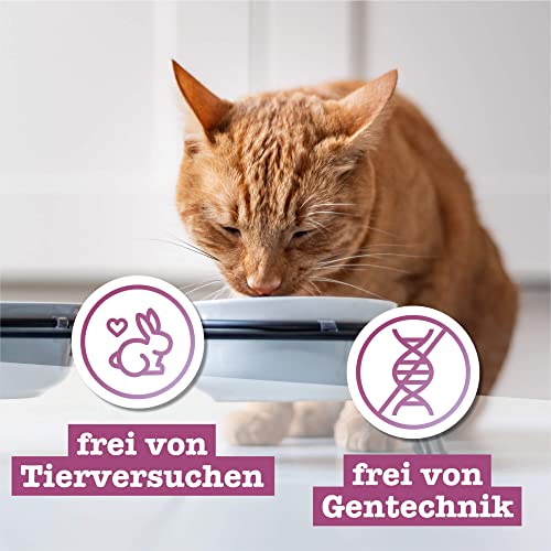 catz-finefood-feinkost-katzenfutter-nass-multipack-sorten-mix-paket-1-6x800g image 8