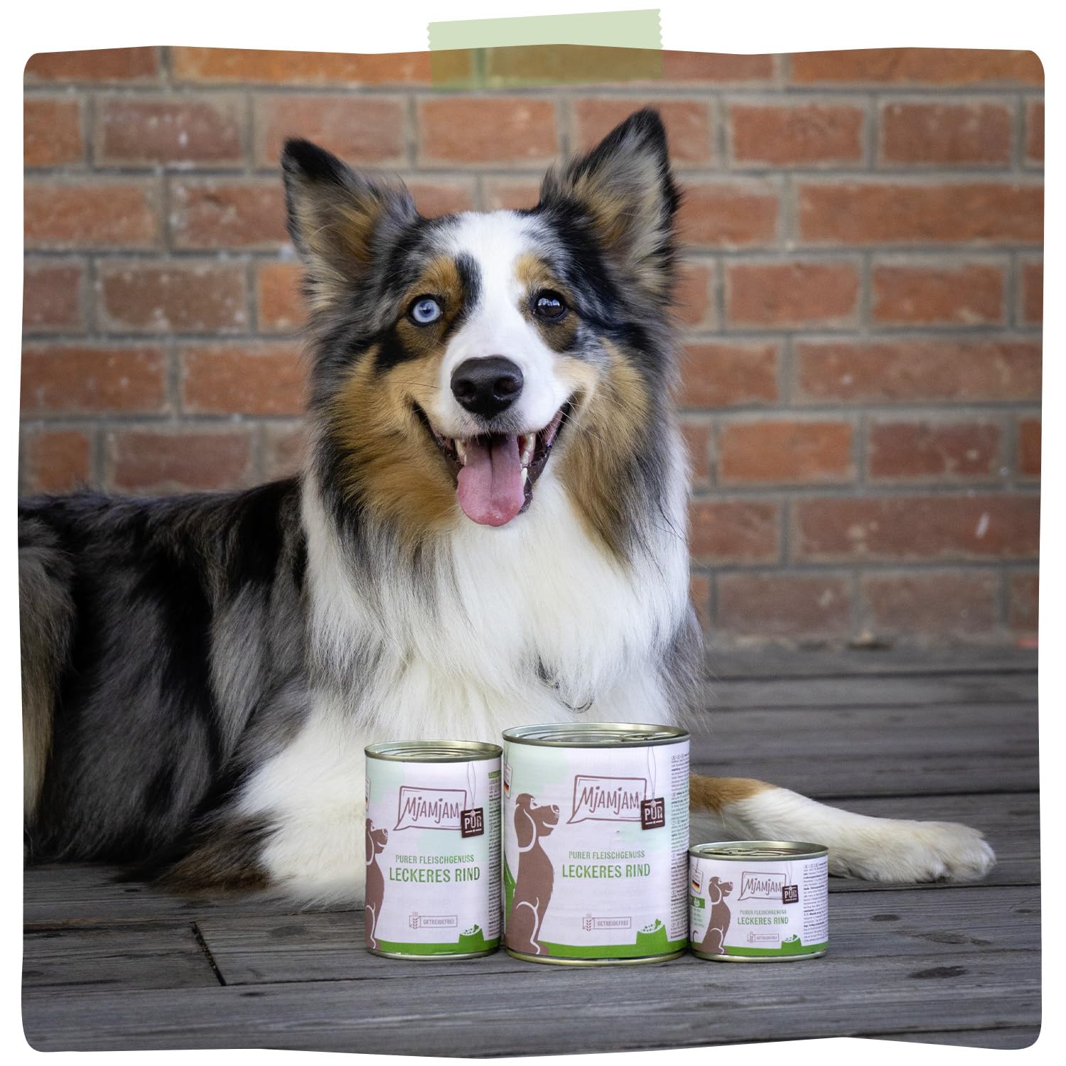 mjamjam-purer-fleischgenuss-hundefutter-rind-pur-6x800g image 6