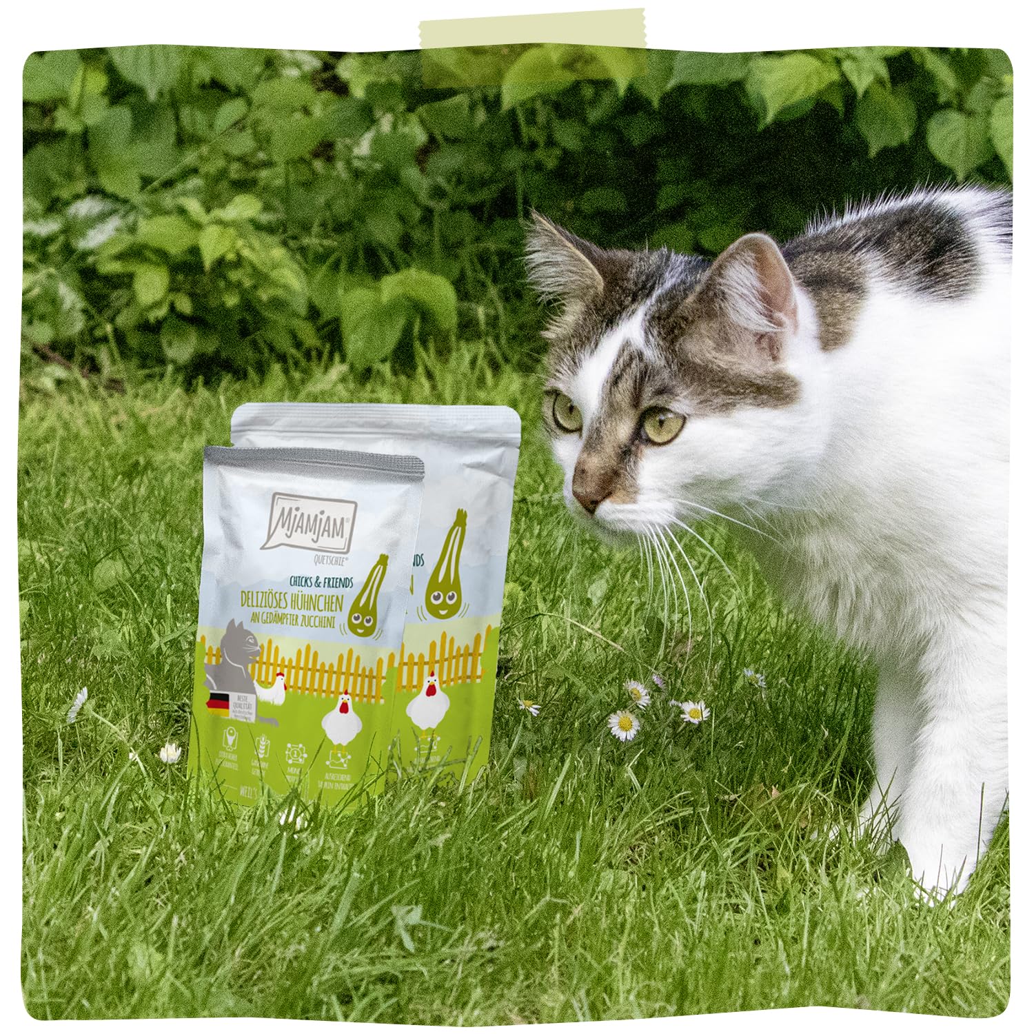 mjamjam-leckere-mahlzeiten-premium-nassfutter-f-r-katzen-h-hnchen-mit-zucchini-6 image 2