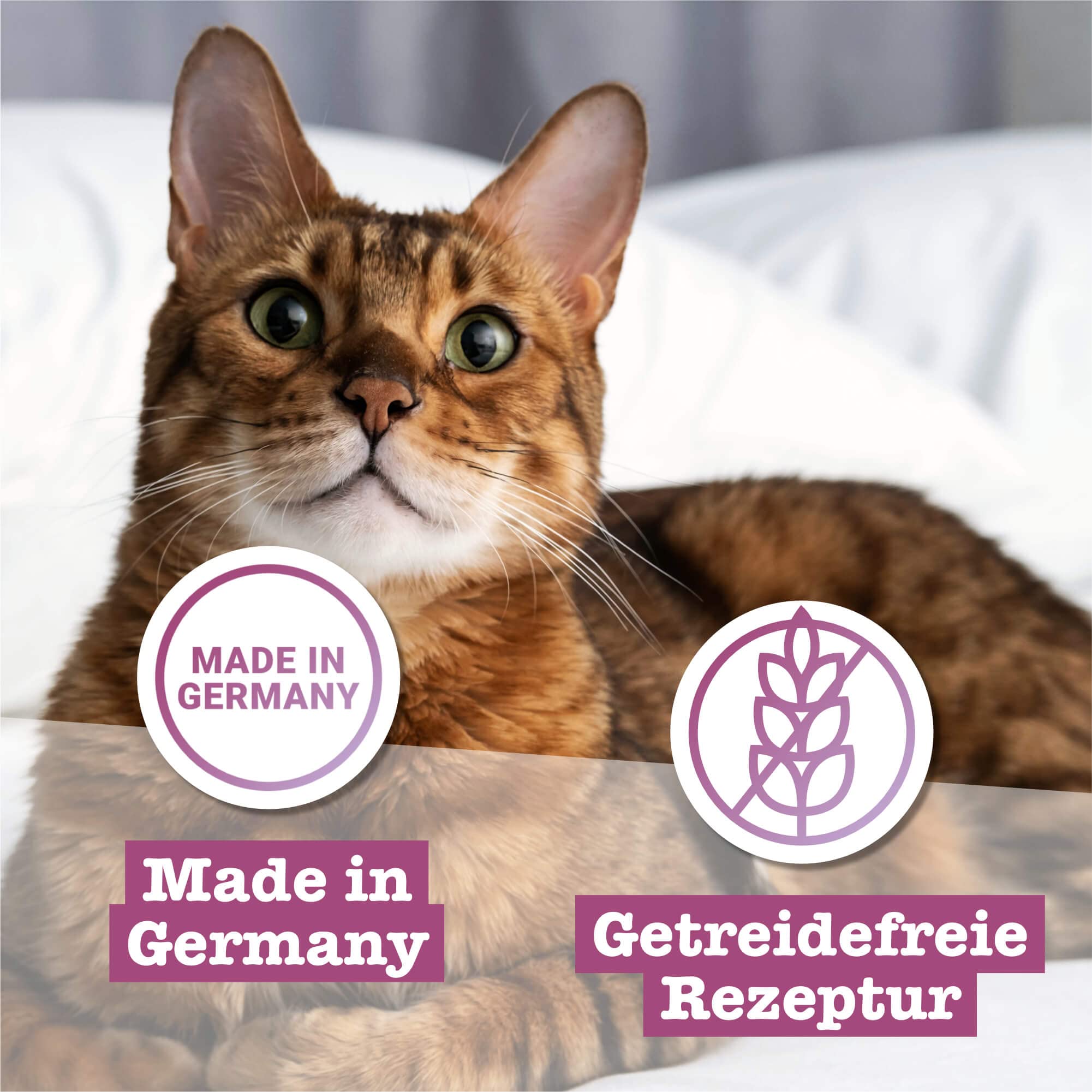 catz-finefood-multipack-2-nassfutter-f-r-katzen-12-x-85g-mix-paket-mit-huhn-rind image 4