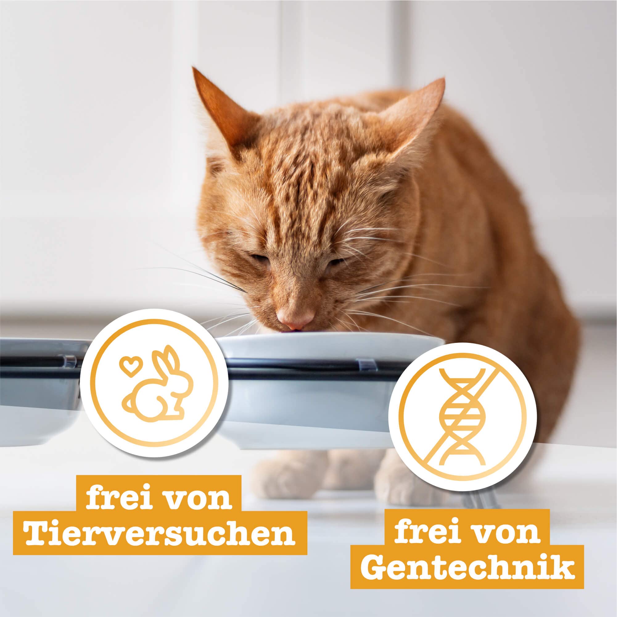 catz-finefood-purrrrly-no-107-lammherzen-katzensnack-6-x-35-g image 5